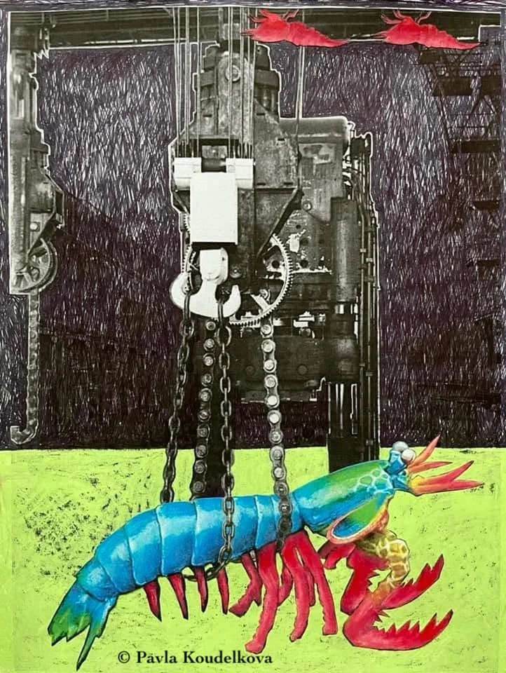 25:476238378_2099152807202412_6051534754703884983_n.jpg