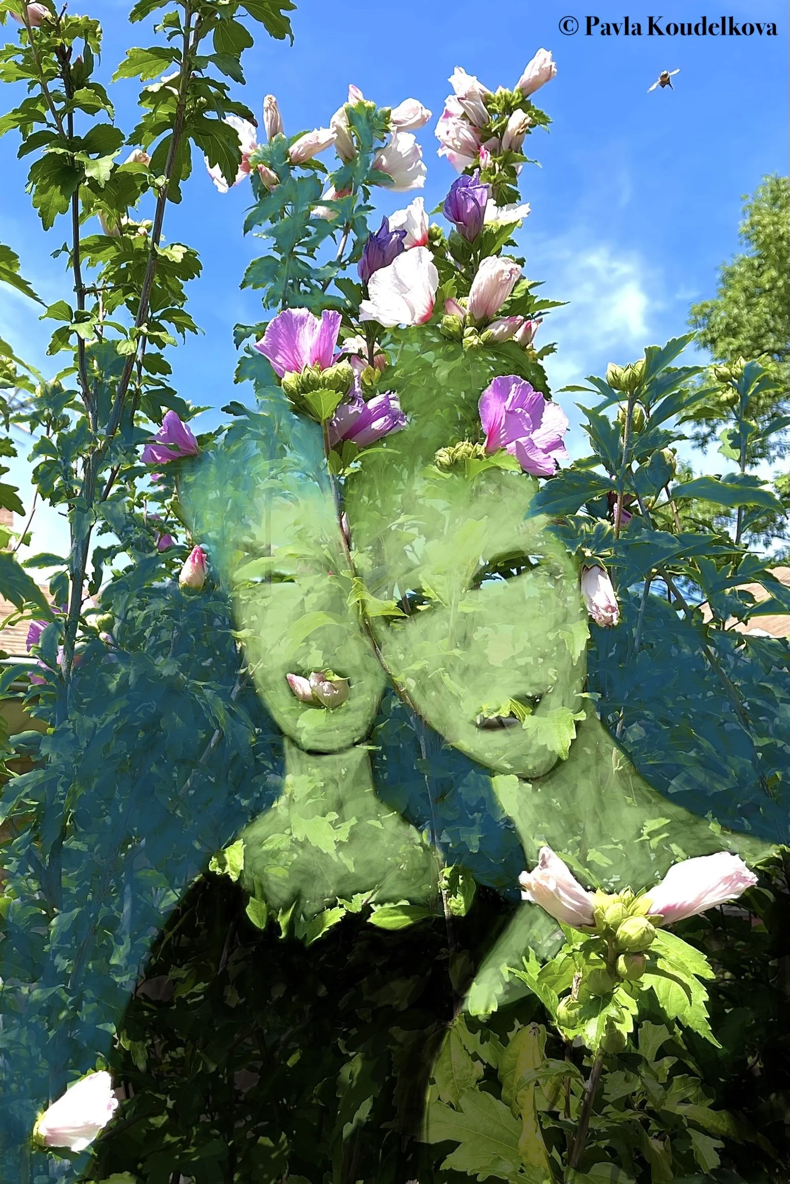 397