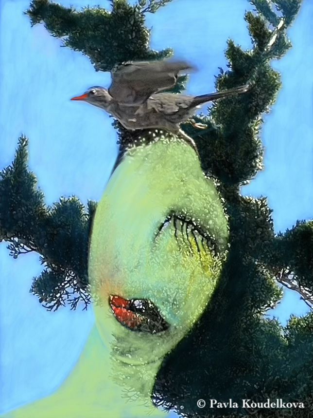 580
