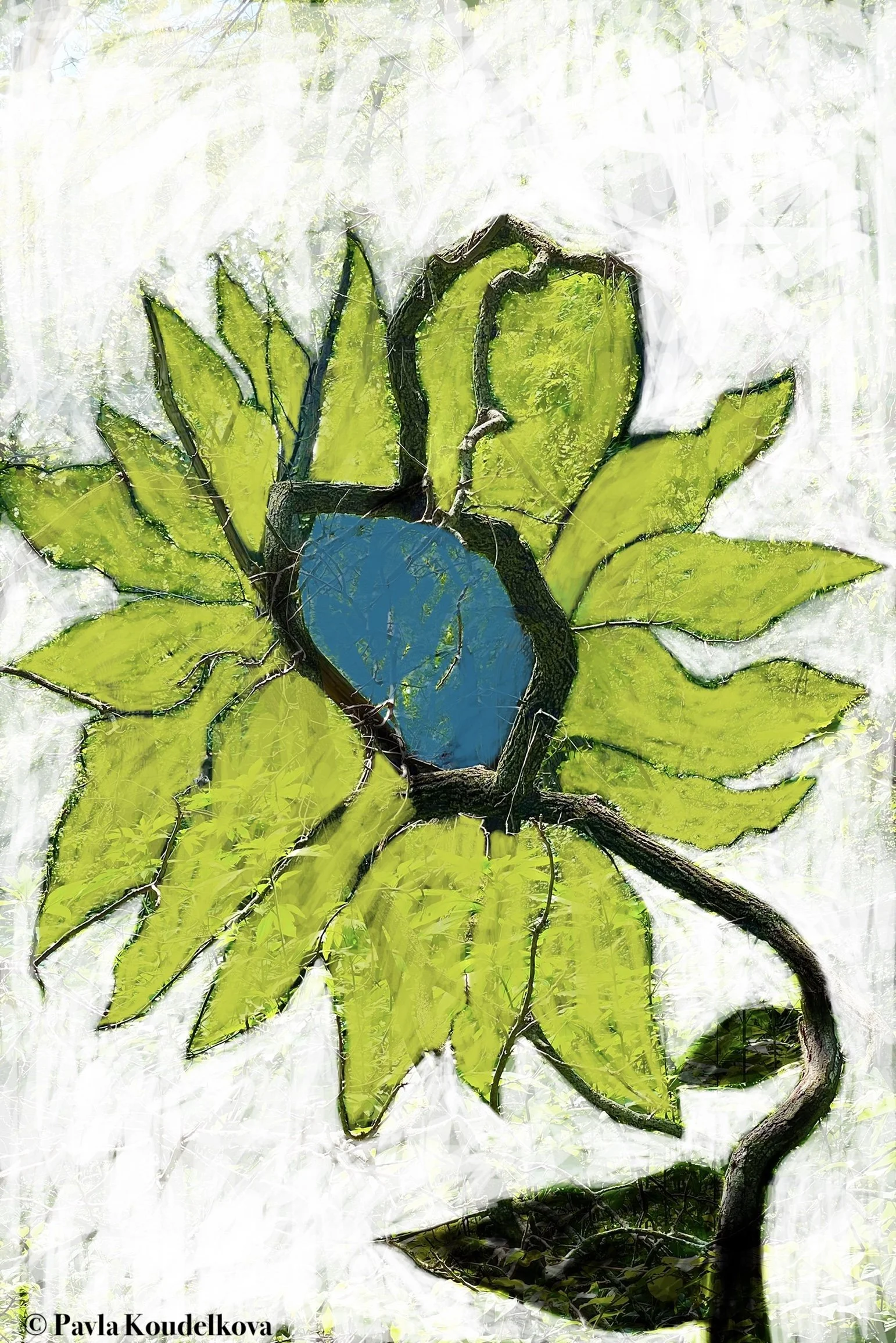 1:246.jpg