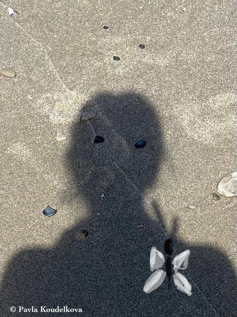 480