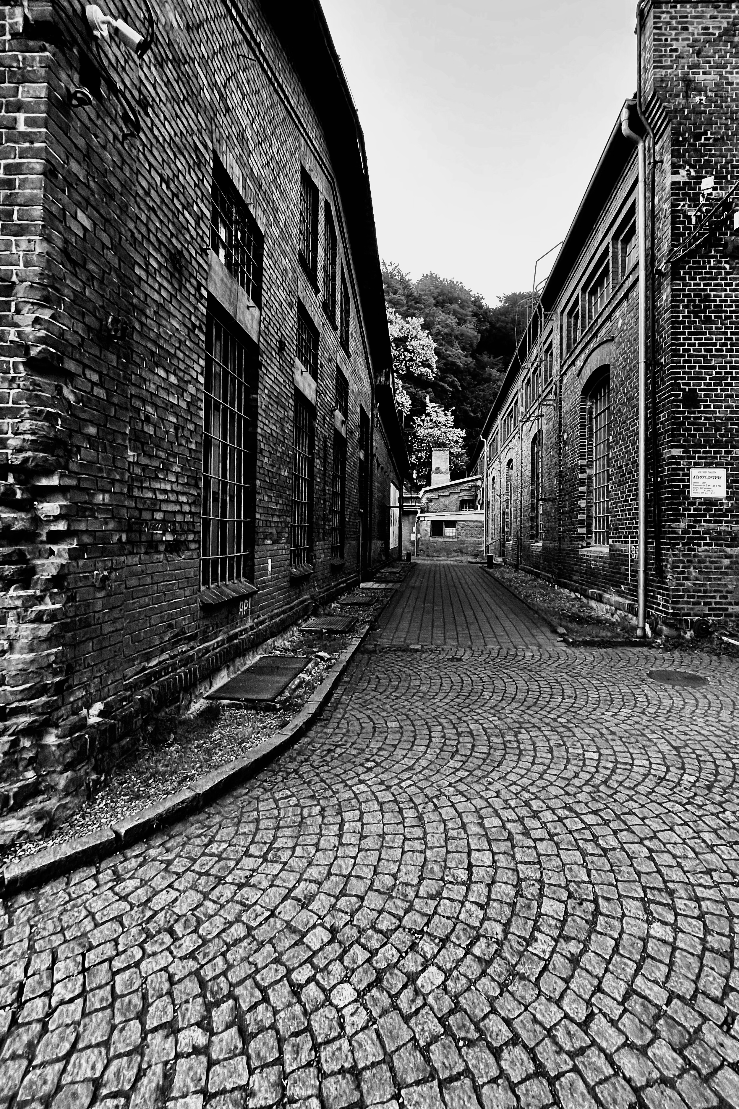 tempImagezhJM8E.png