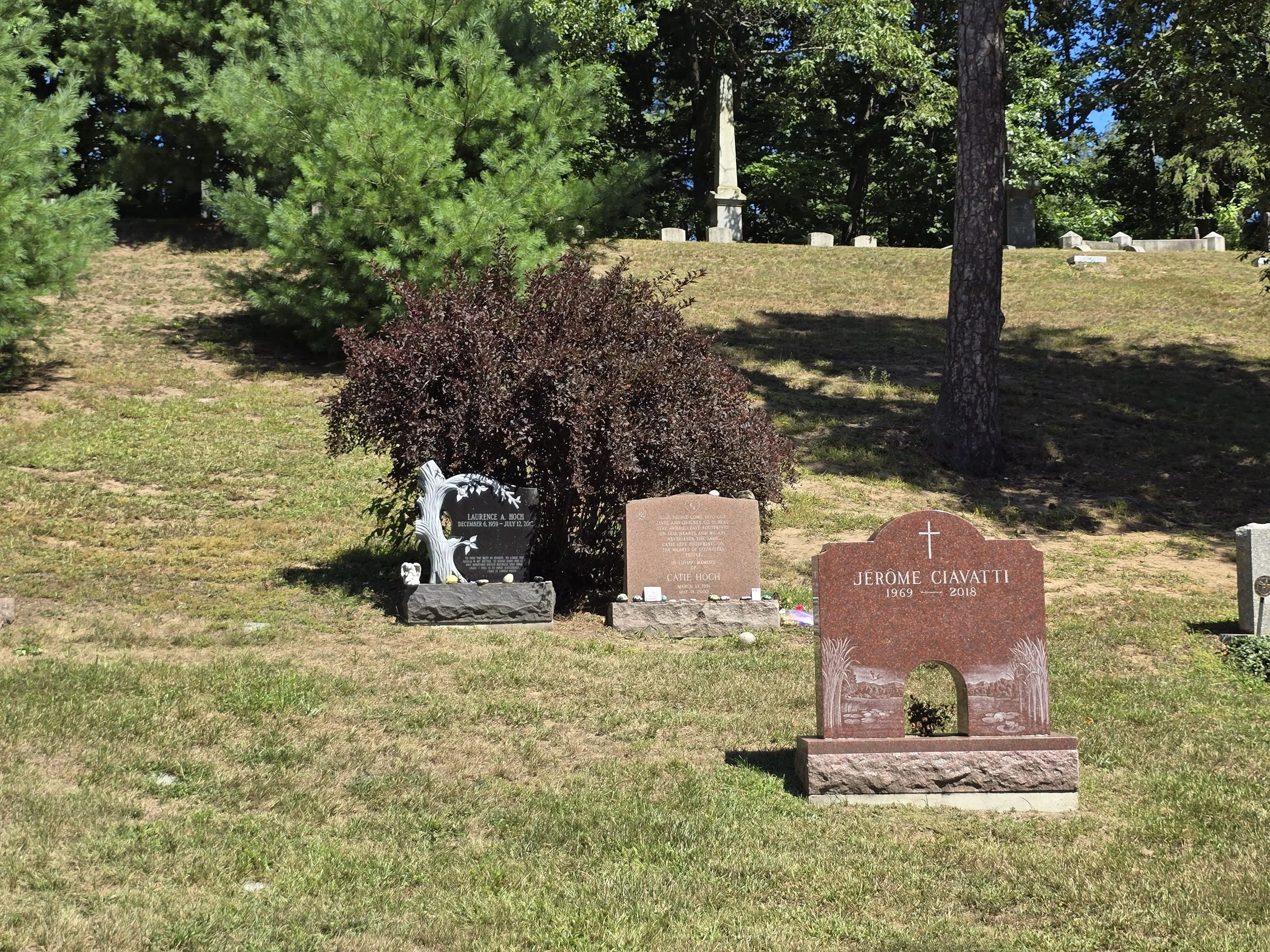 29baeba6-d522-4283-85ce-3f11fa3c7f51.jpg