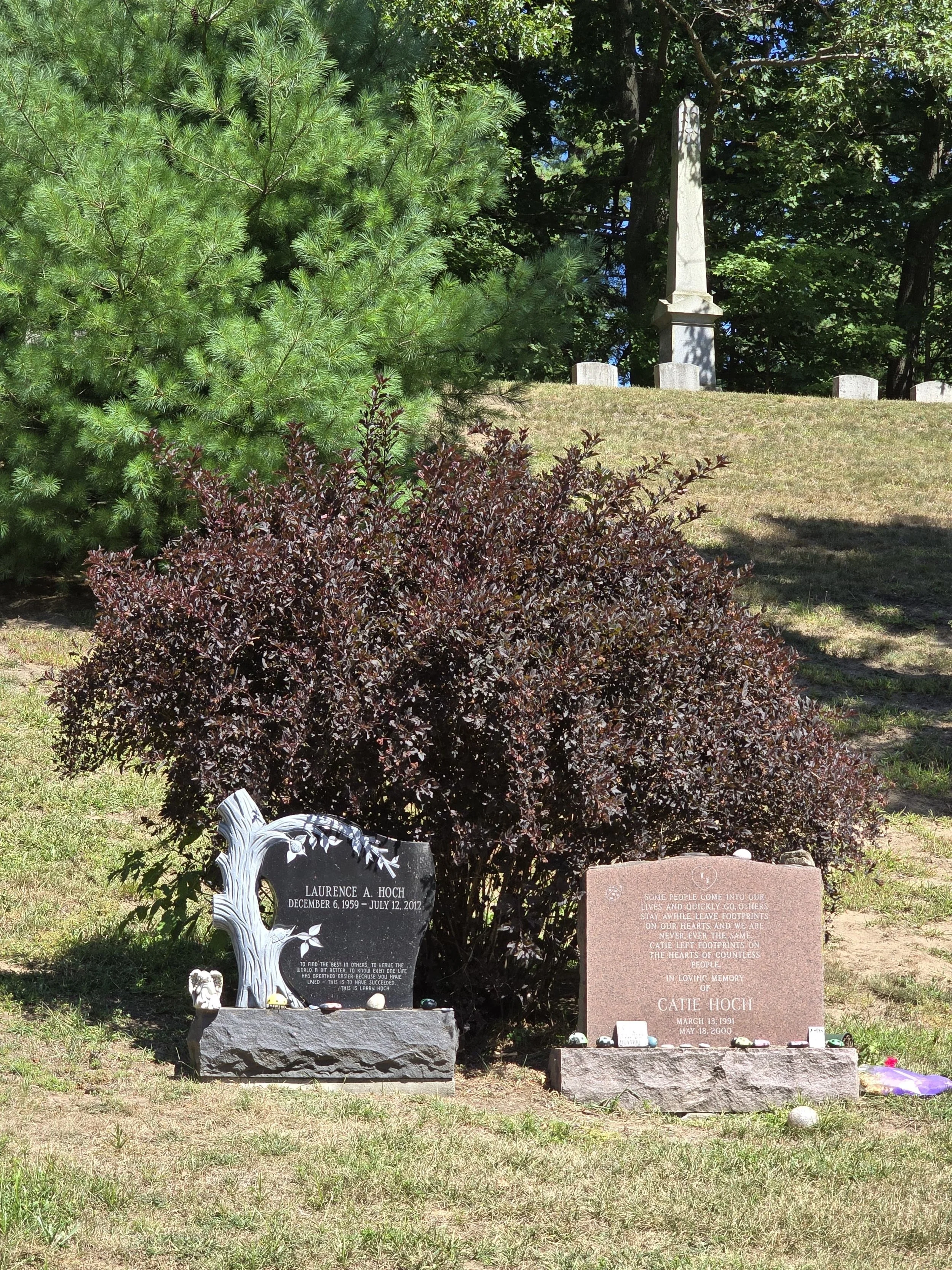 a7d03477-079e-40e8-9ee0-9c4fee6812d0.jpg