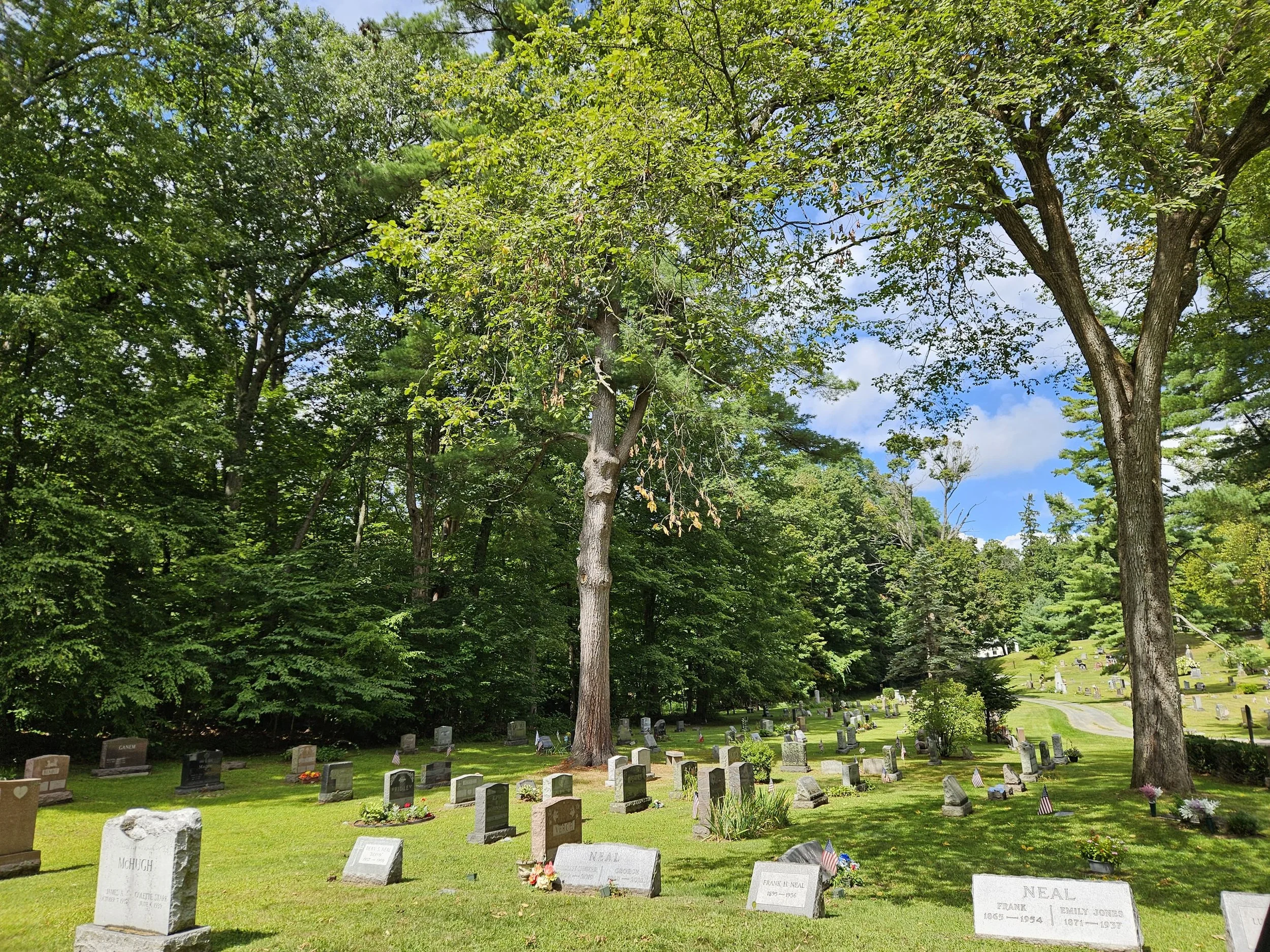 23d5d839-ae1e-44bc-9c71-0073ab8c5099.jpg