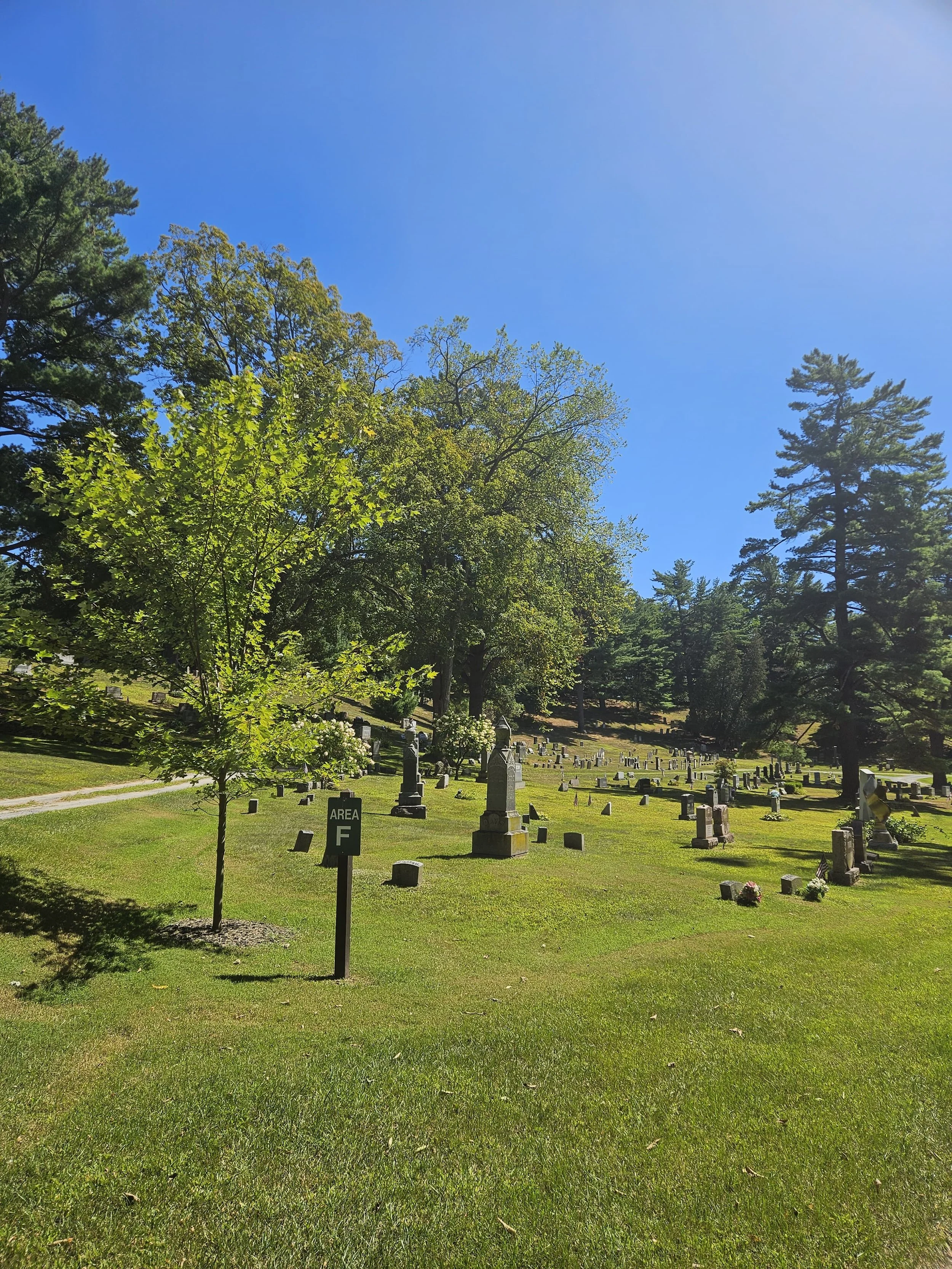 3b0db381-363e-41b2-81fd-968b077157d3.jpg
