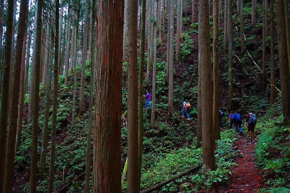 Dorogawa trail.jpg