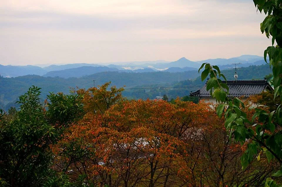 Why Japan in Autumn Will Steal Your Heart (by someone who’s lived there)