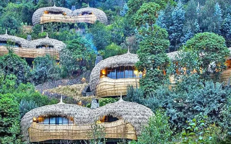 Bisate Lodge Rwanda hotel.webp
