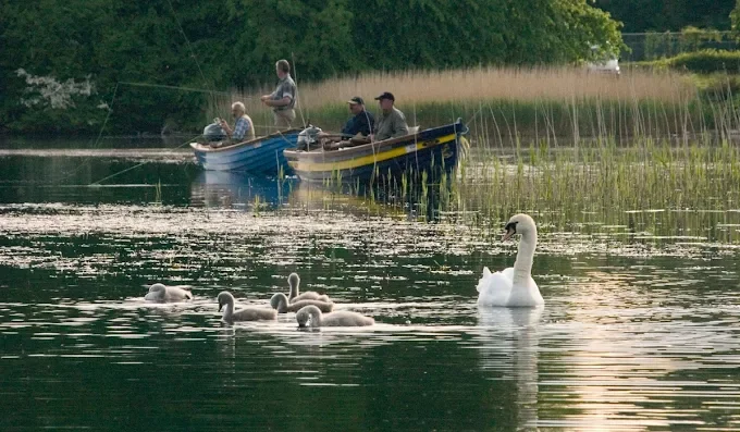 ashford castle ireland fishing.webp