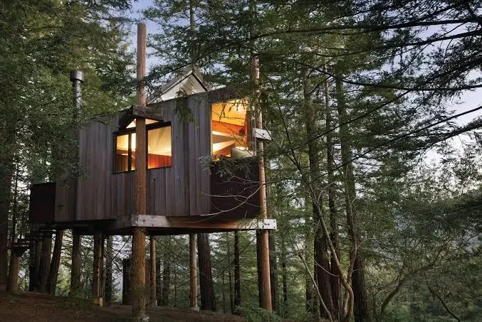 Post Ranch Inn – Big Sur, California treehouse.webp