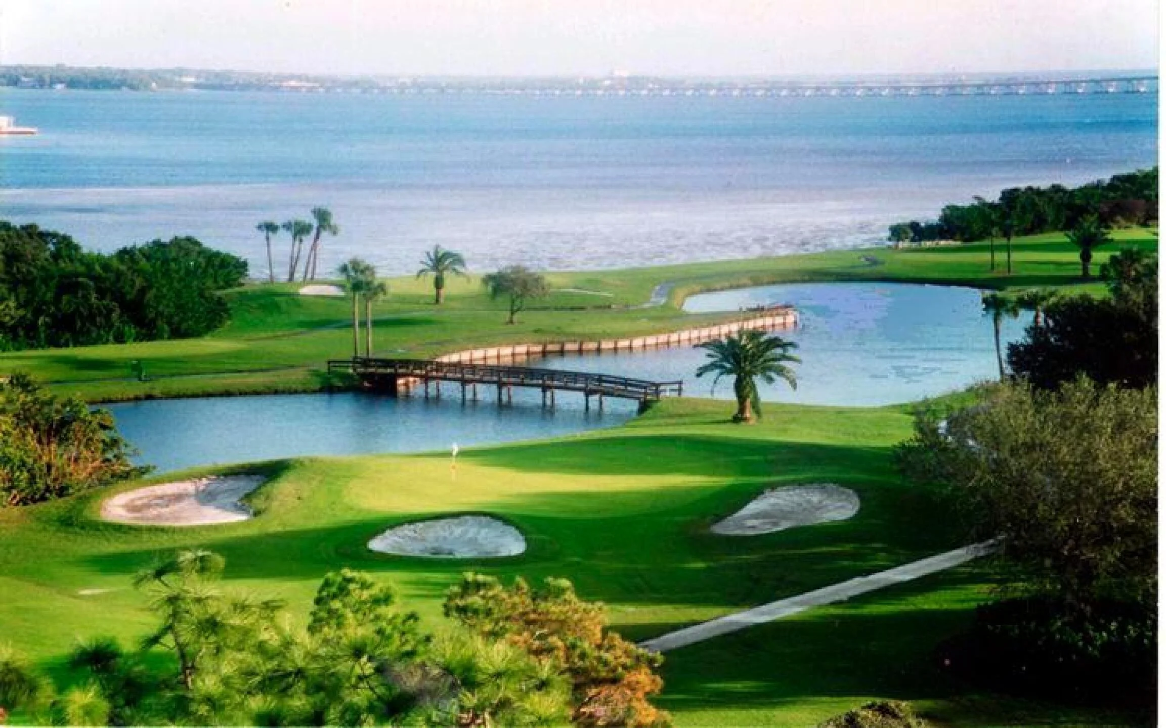 cove-cay-golf.jpg