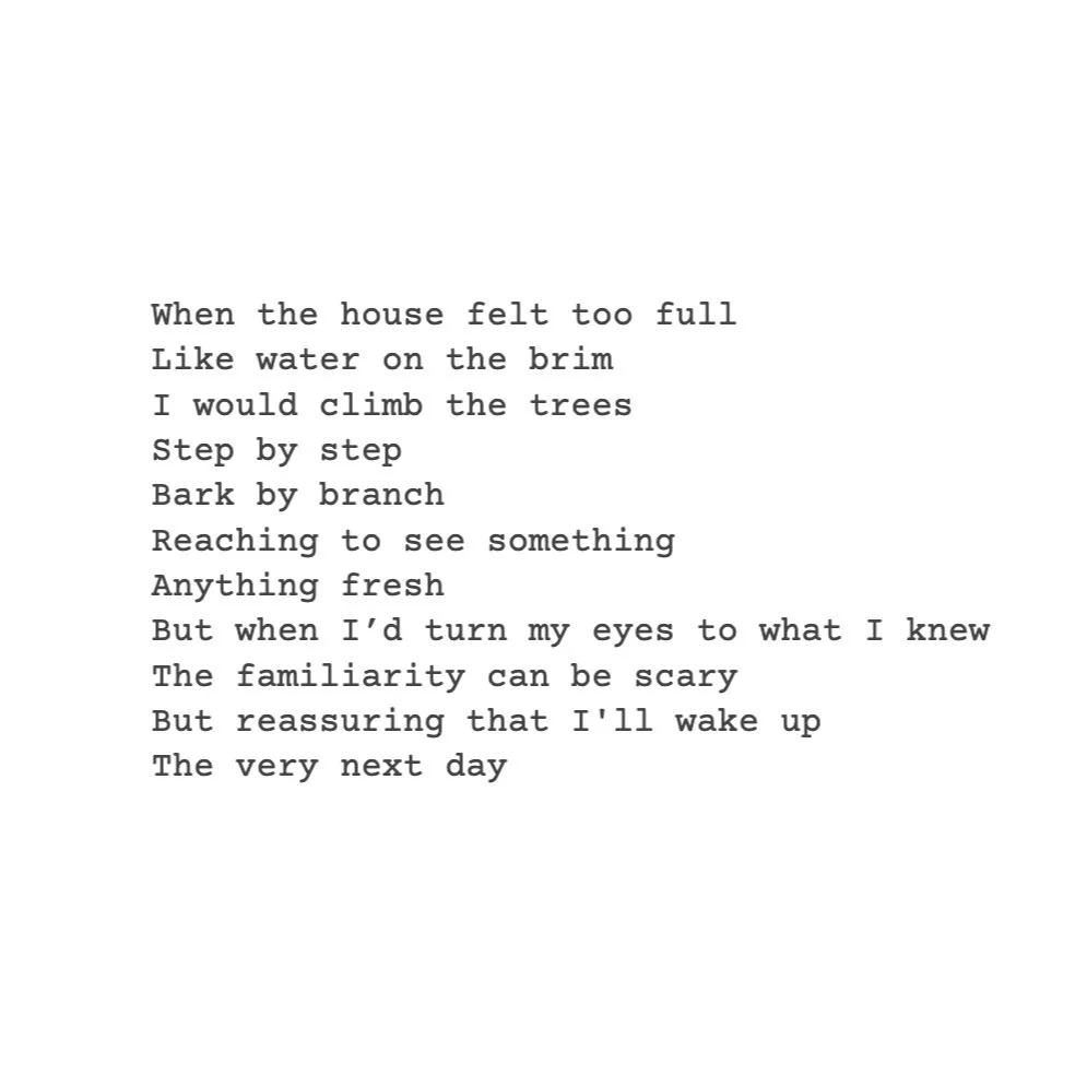 Screenshot 2025-07-01 at 2.12.15 PM.jpg