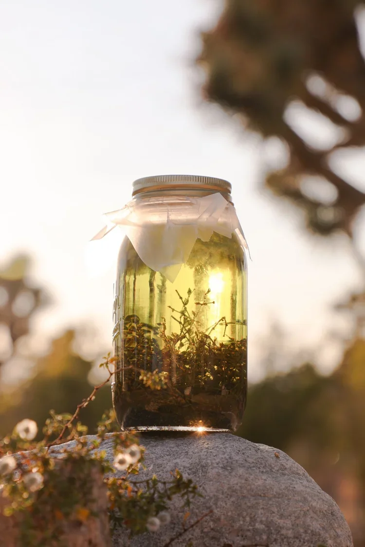 creosote333.webp