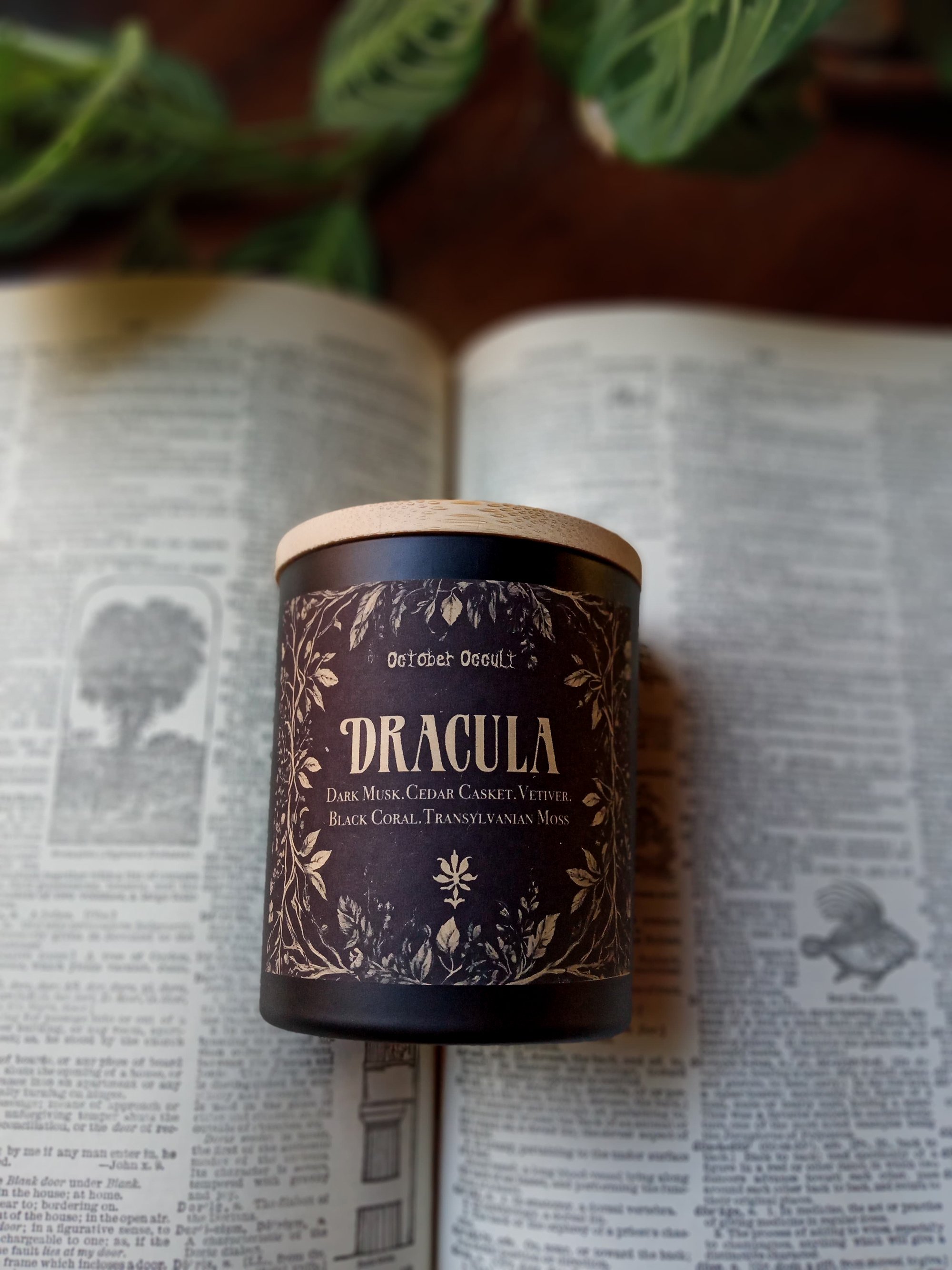 CUSTOM BOOK CANDLE | Wood Wick | Soy Coconut Wax | Custom Scented Candles for Book Lovers