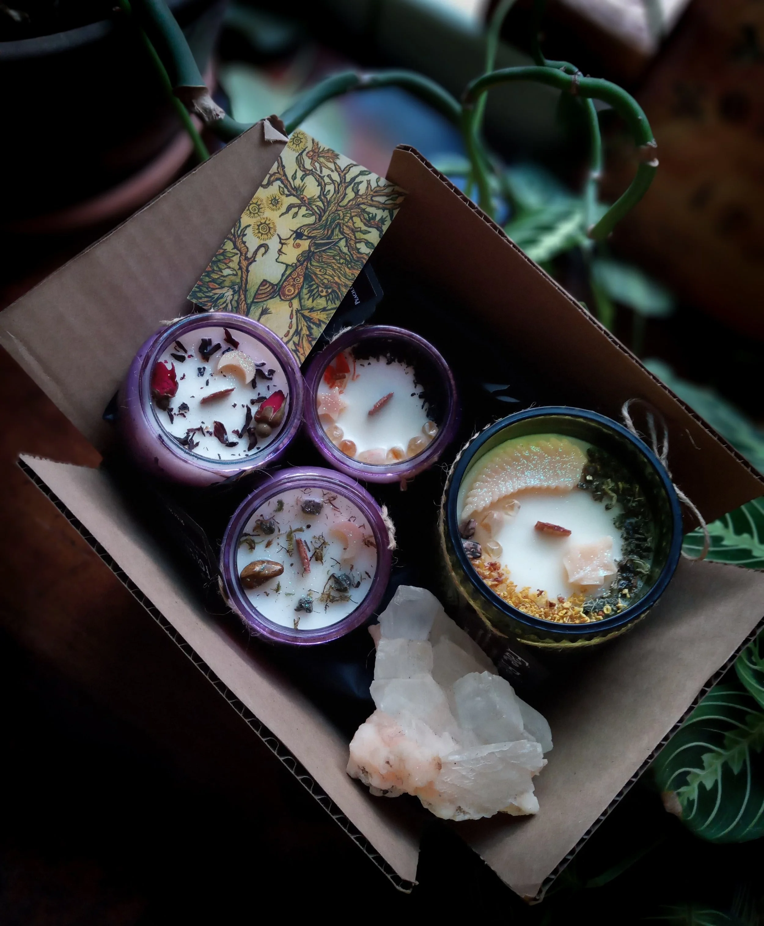 SPRING EQUINOX BOX | Where Moths Eat Sunlight