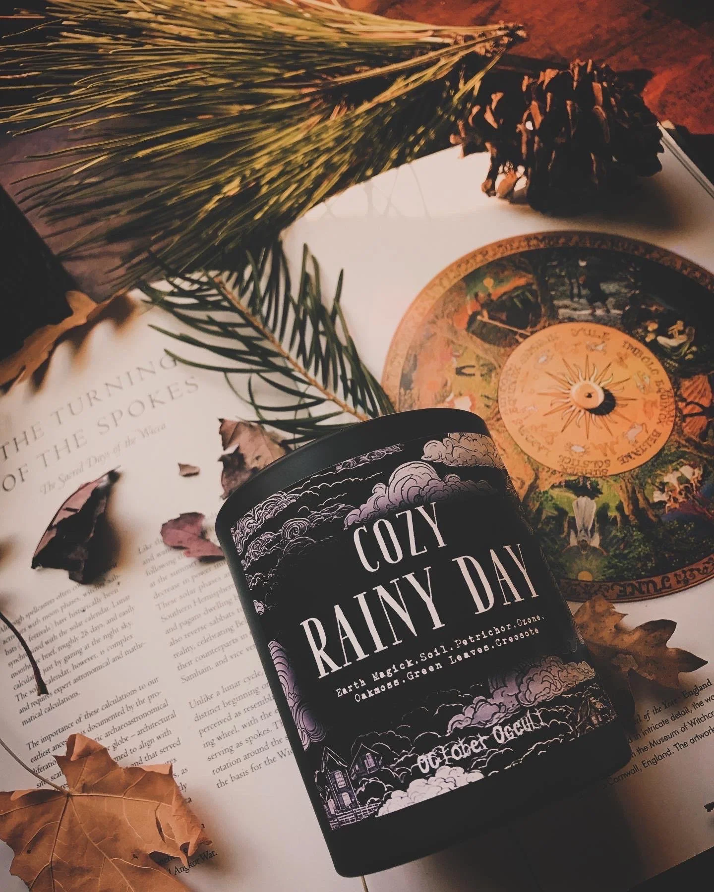 COZY RAINY DAY | | Wood Wick + Soy Coconut Wax Blend - creosote, oakmoss, petrichor