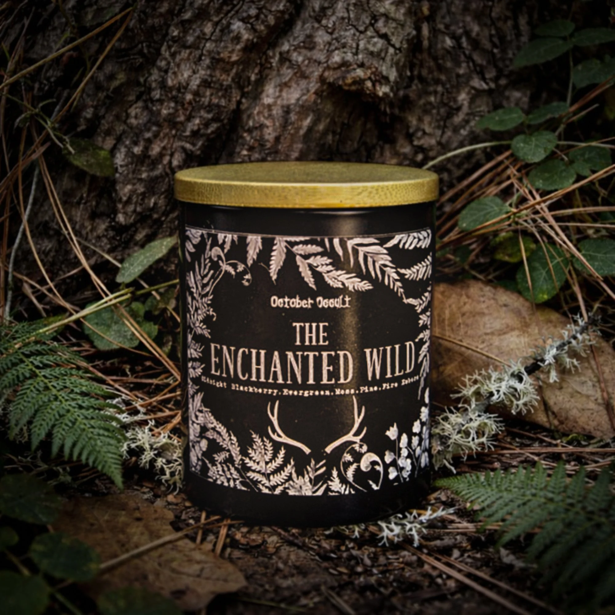 The Enchanted Wild