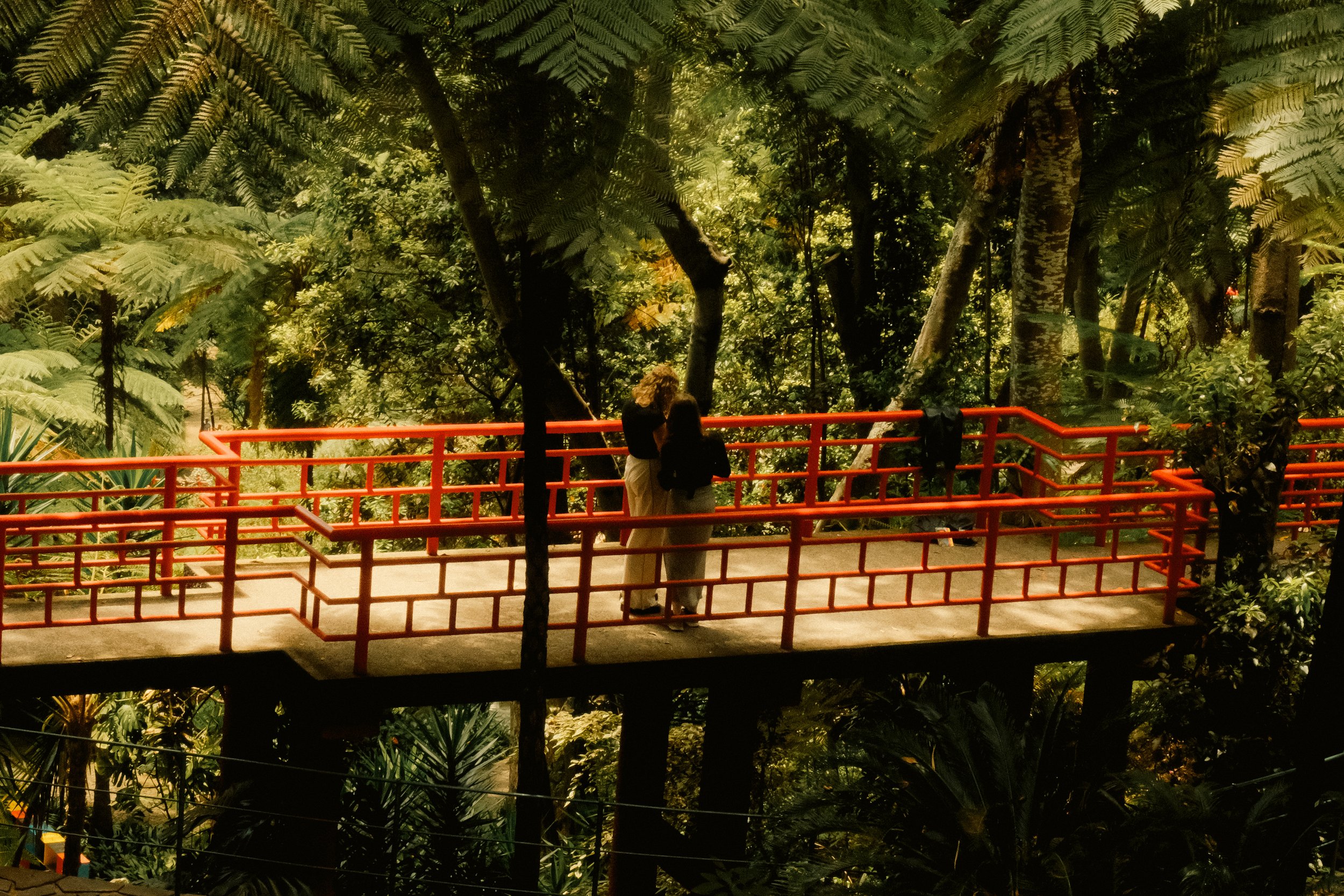 Japanese Garden in Monte Palace Tropical Garden, Madeira
