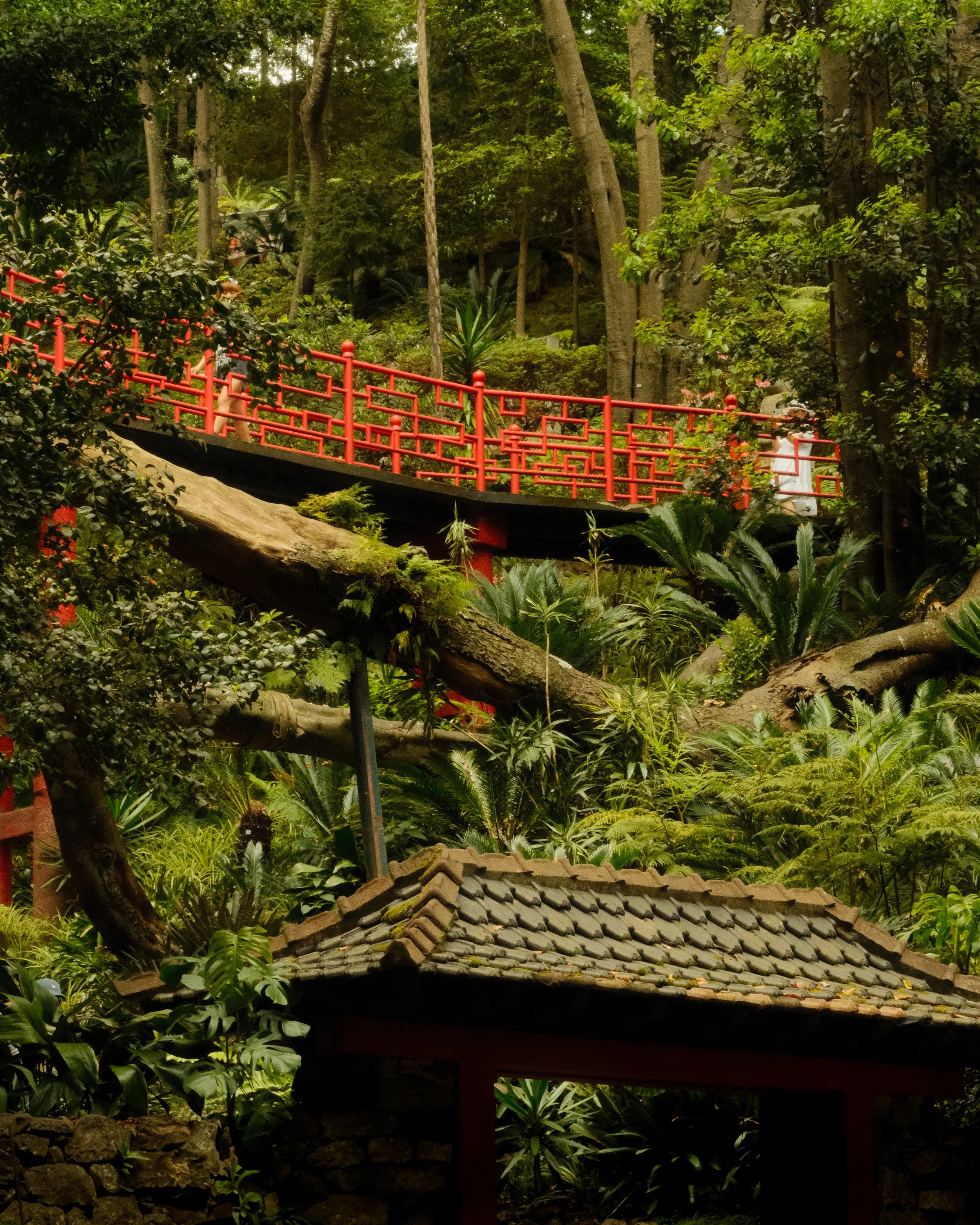 Japanese Garden in Monte Palace Tropical Garden, Madeira
