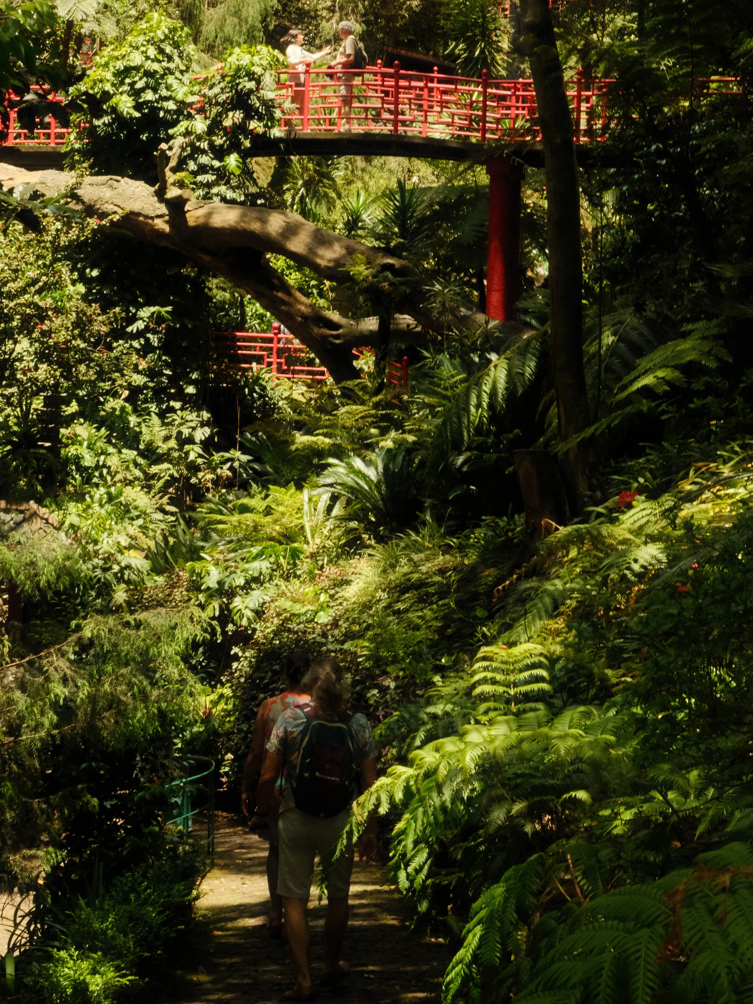 Japanese Garden in Monte Palace Tropical Garden, Madeira