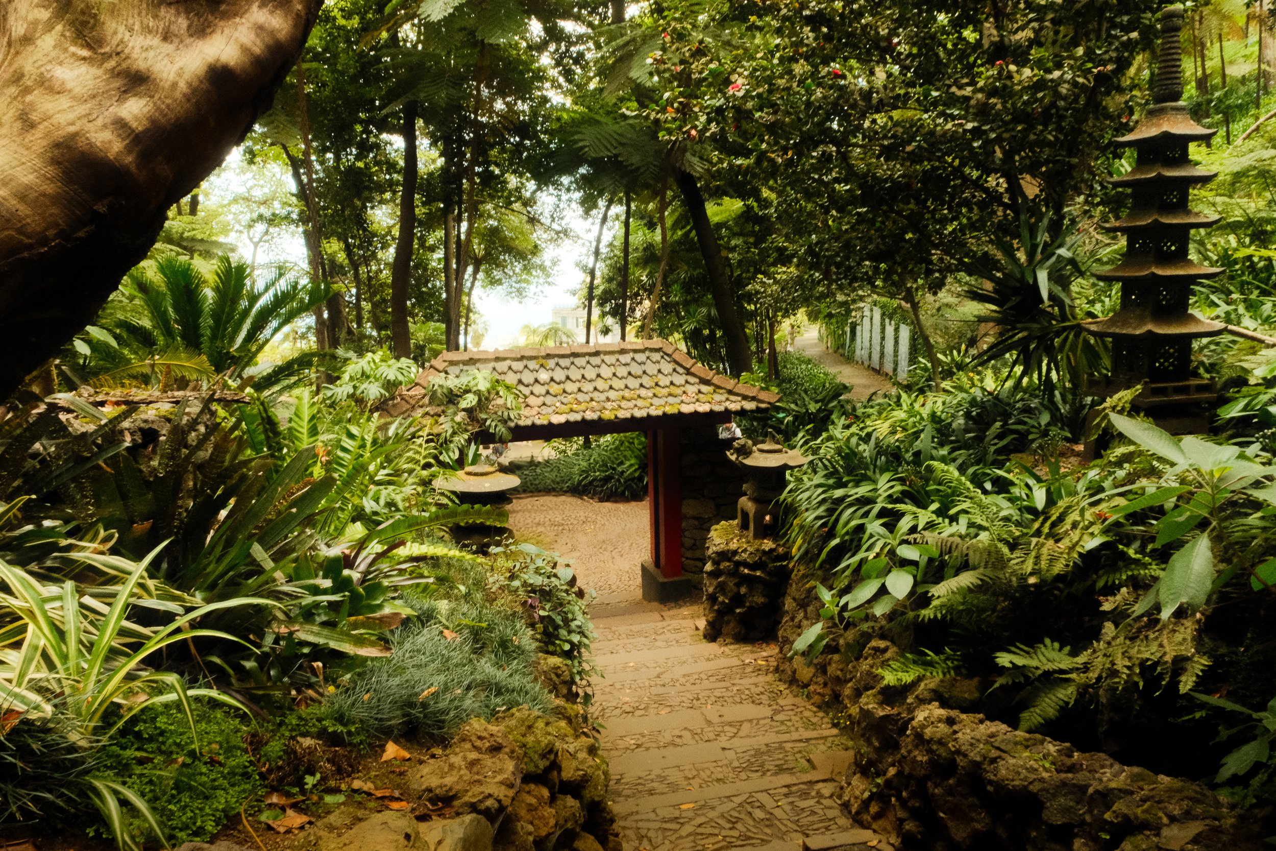 Japanese Garden in Monte Palace Tropical Garden, Madeira
