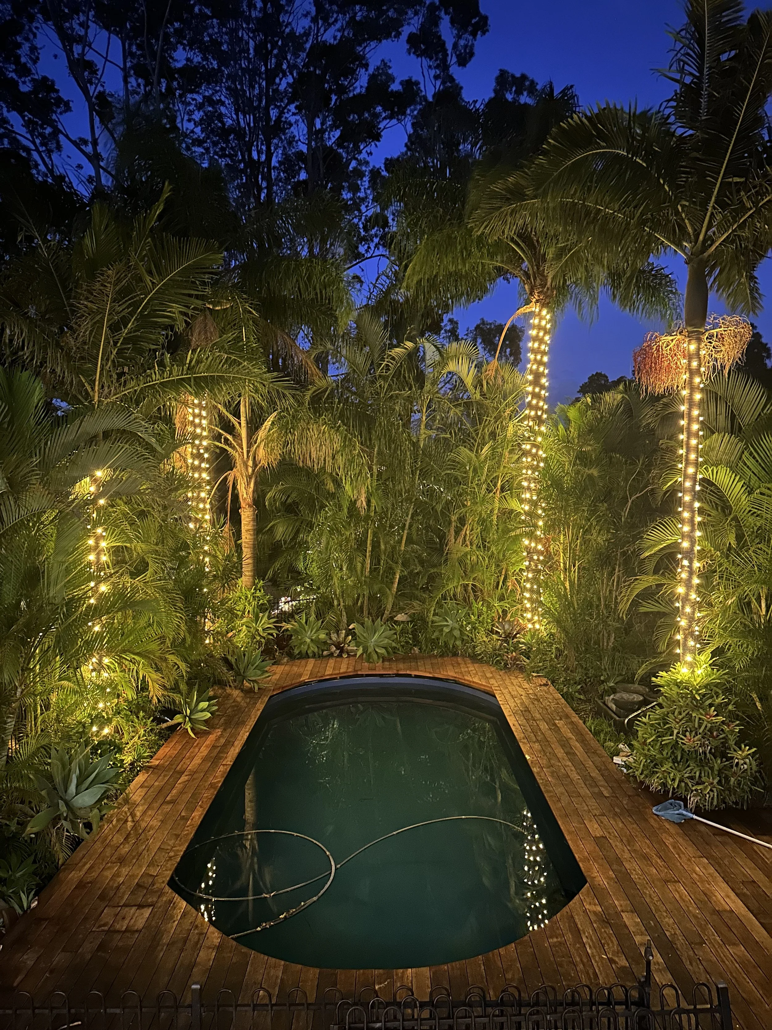 A small outdoor hot tub surrounded by lush green tropical plants and palm trees wrapped in string lights at night.