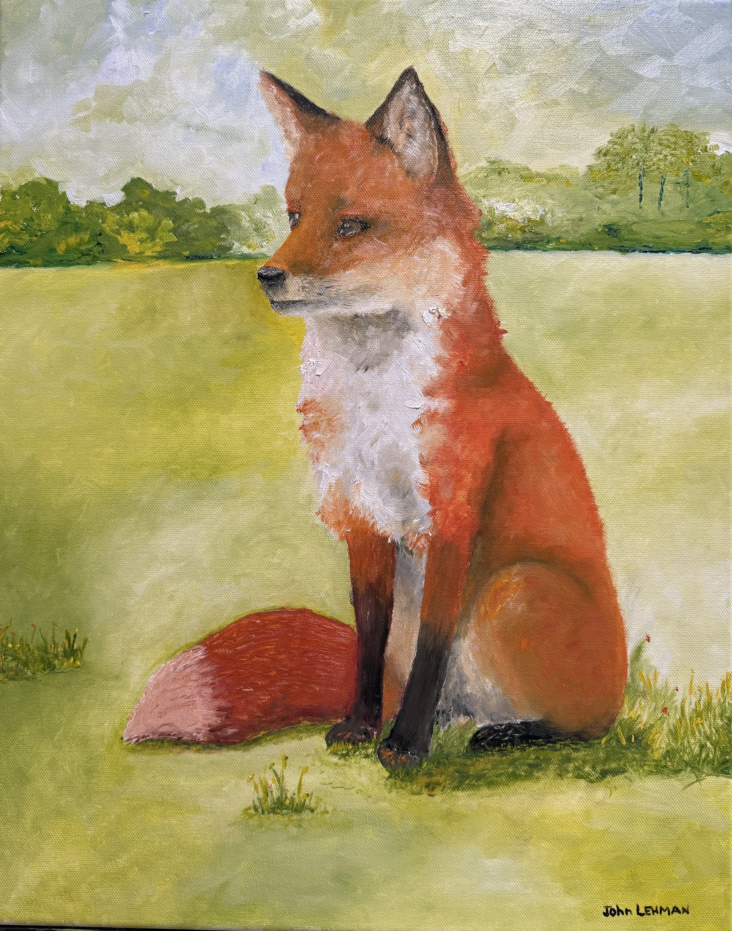 Red Fox (2).JPEG