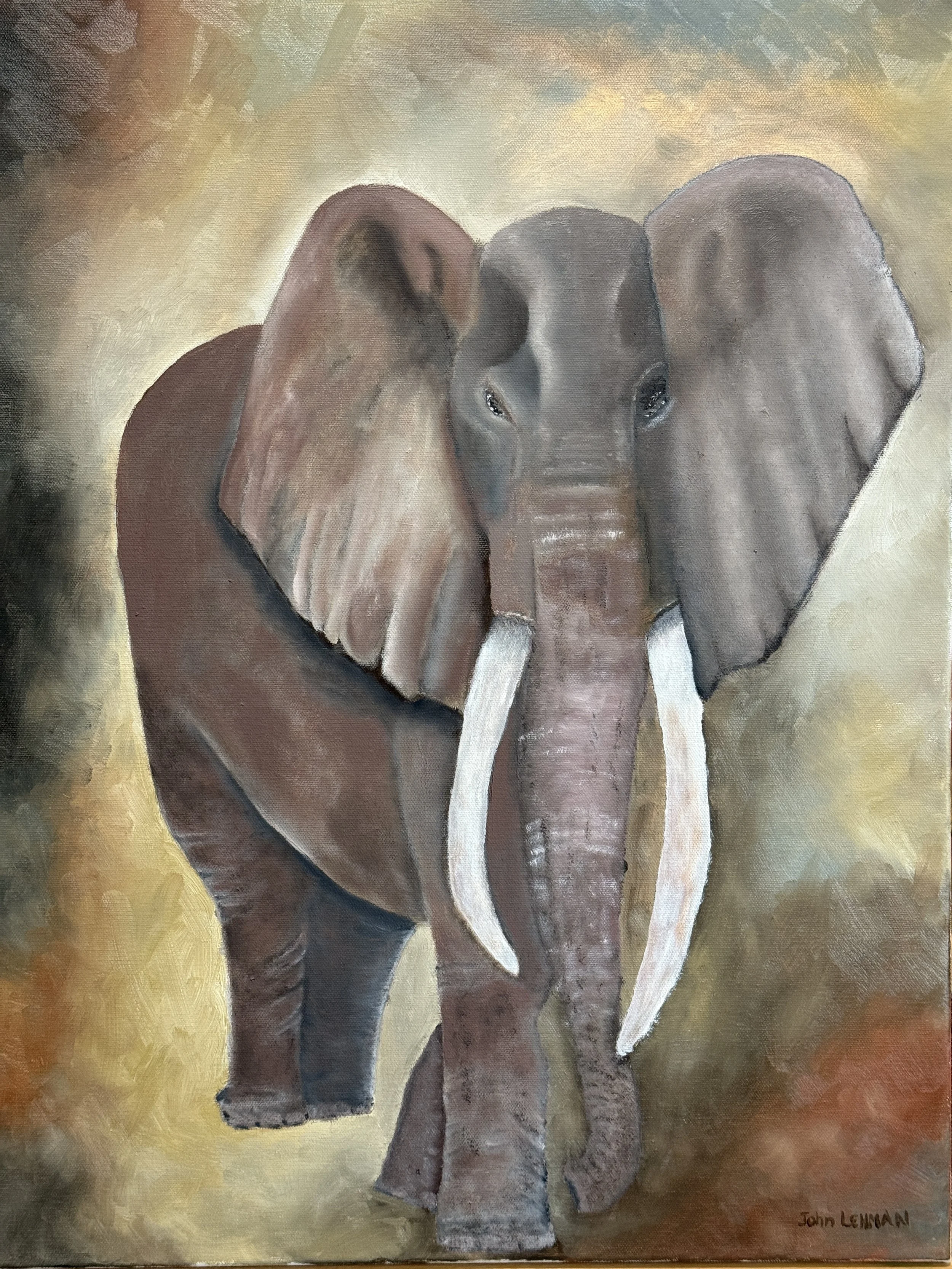 African Bull Elephant - oil on canvas 18x24