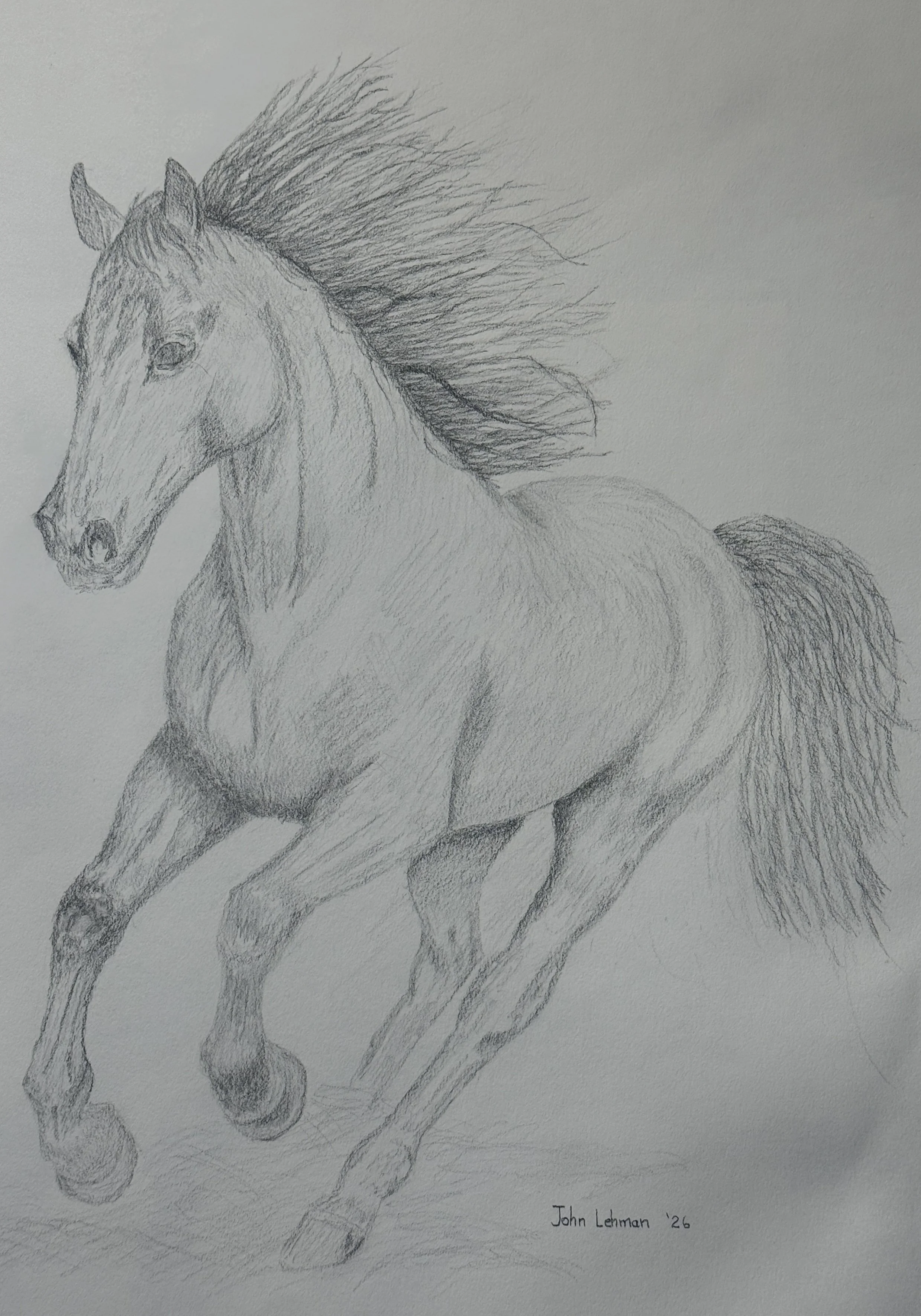 The Spirit of the Horse.JPEG