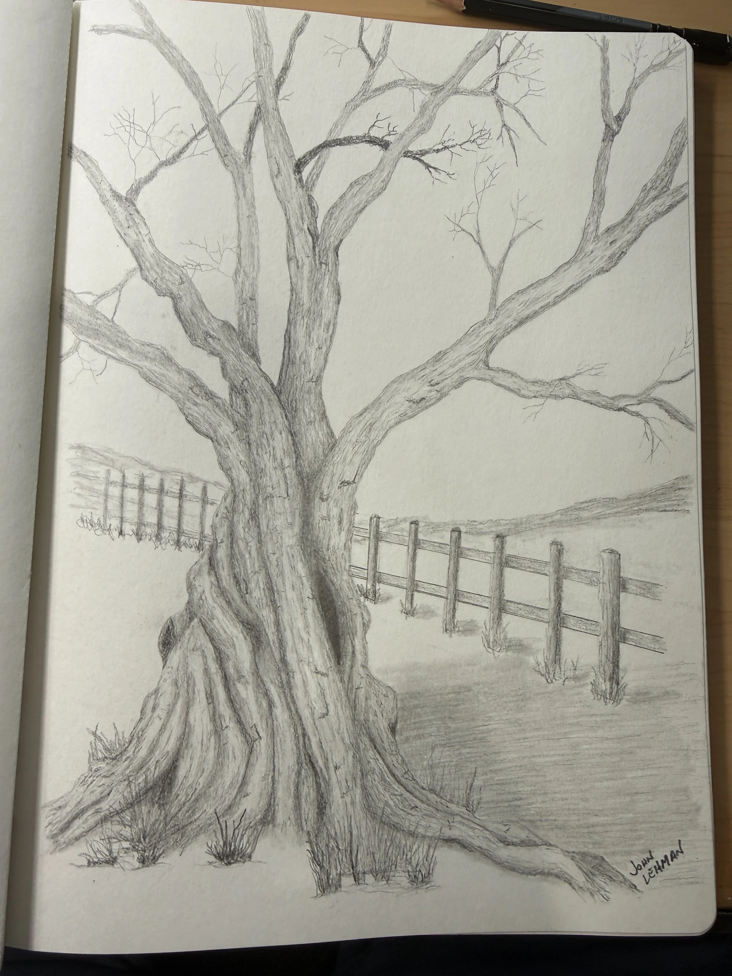 Tree study