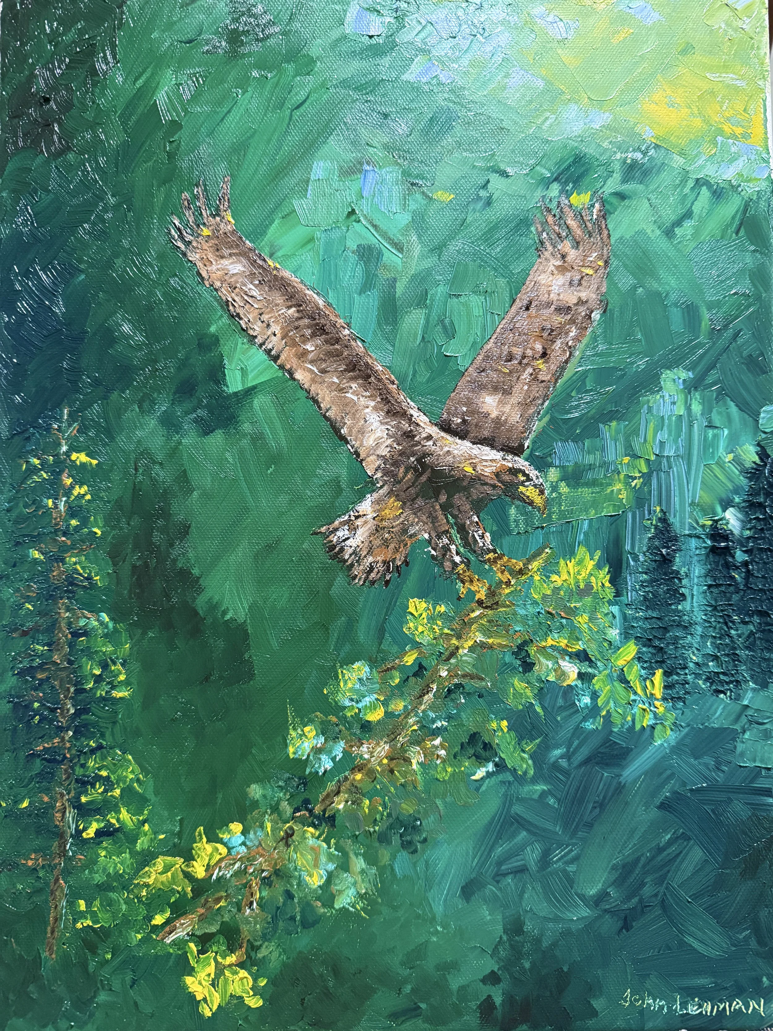 Golden Eagle  - 12x16