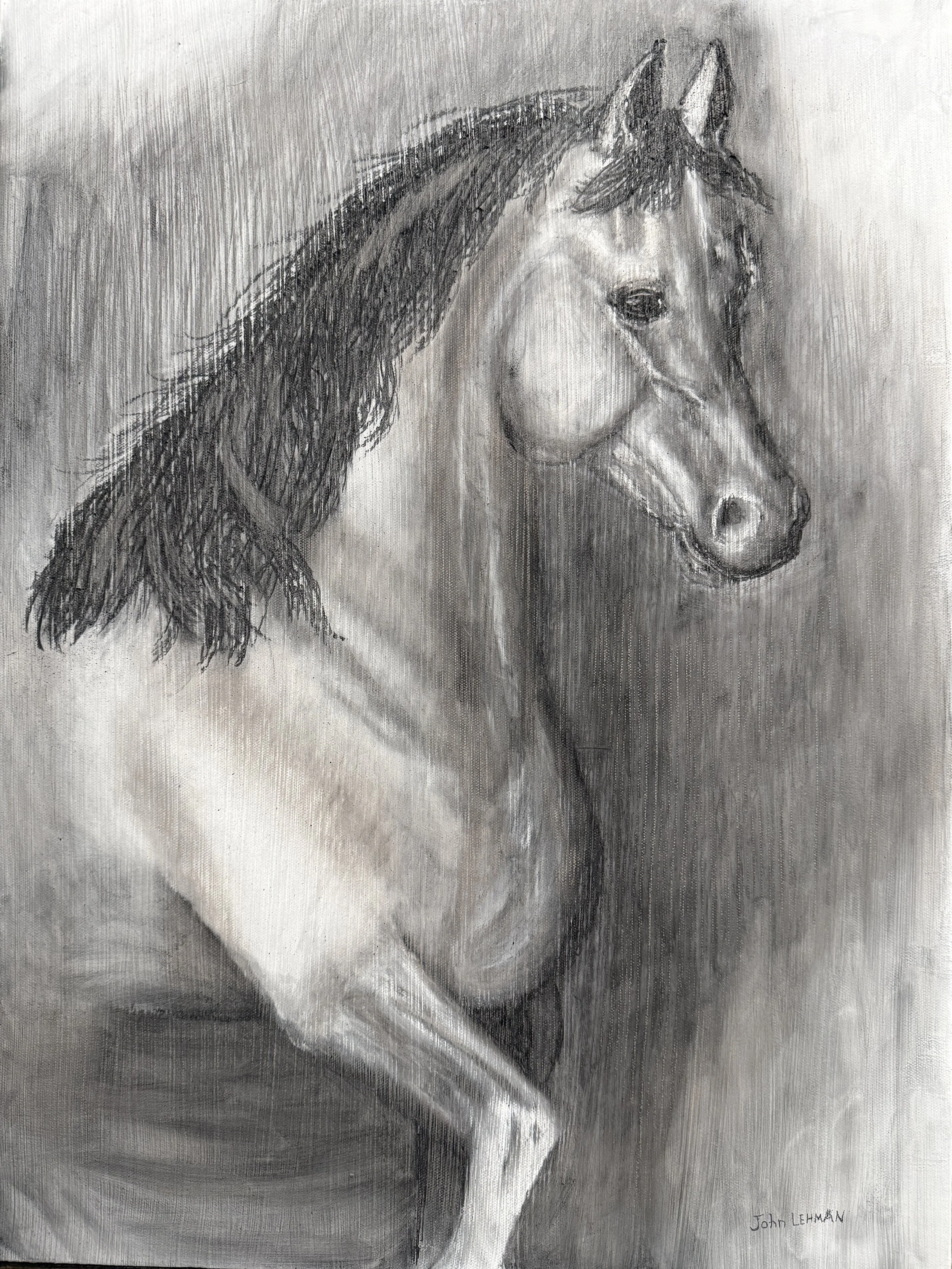 Arabian Horse.JPEG