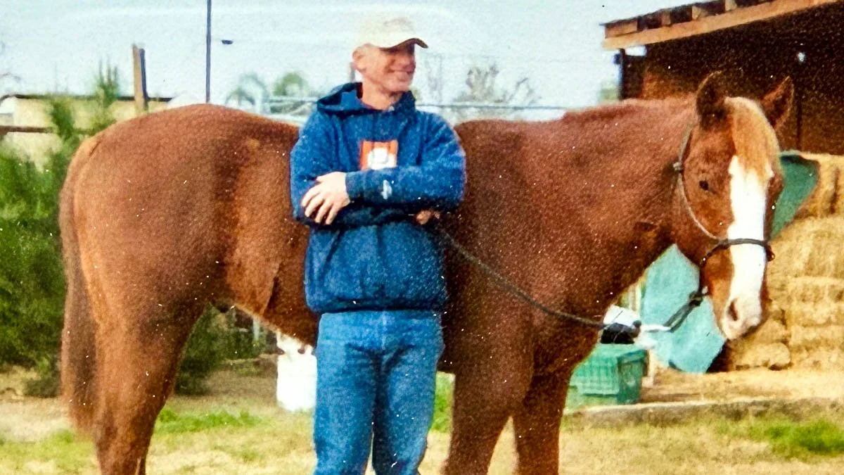 Horse Trading Is a Strange Business