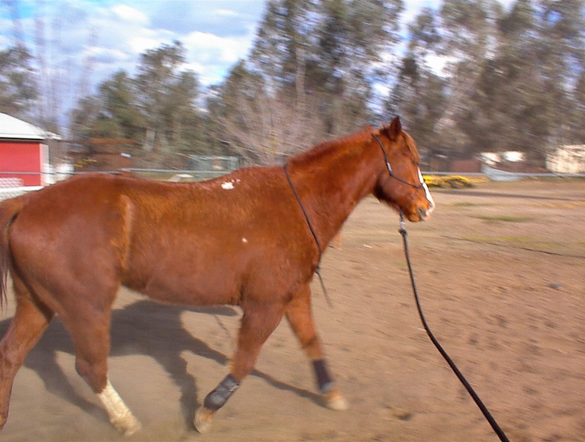 Confidence, DVDs, and the Illusion of Progress