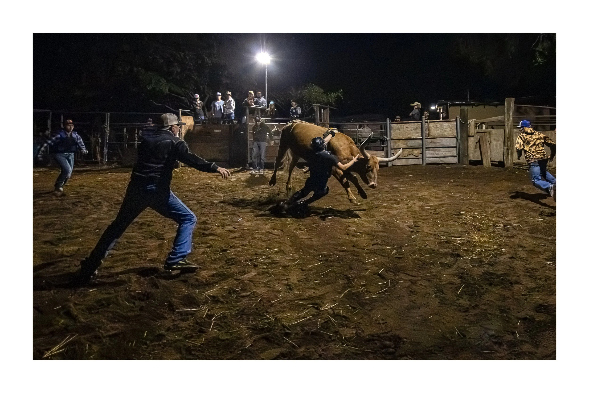 7770 12x18 tryptB.jpg