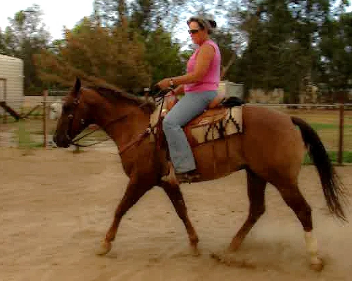 Ranae riding Dusty during his early days with us.