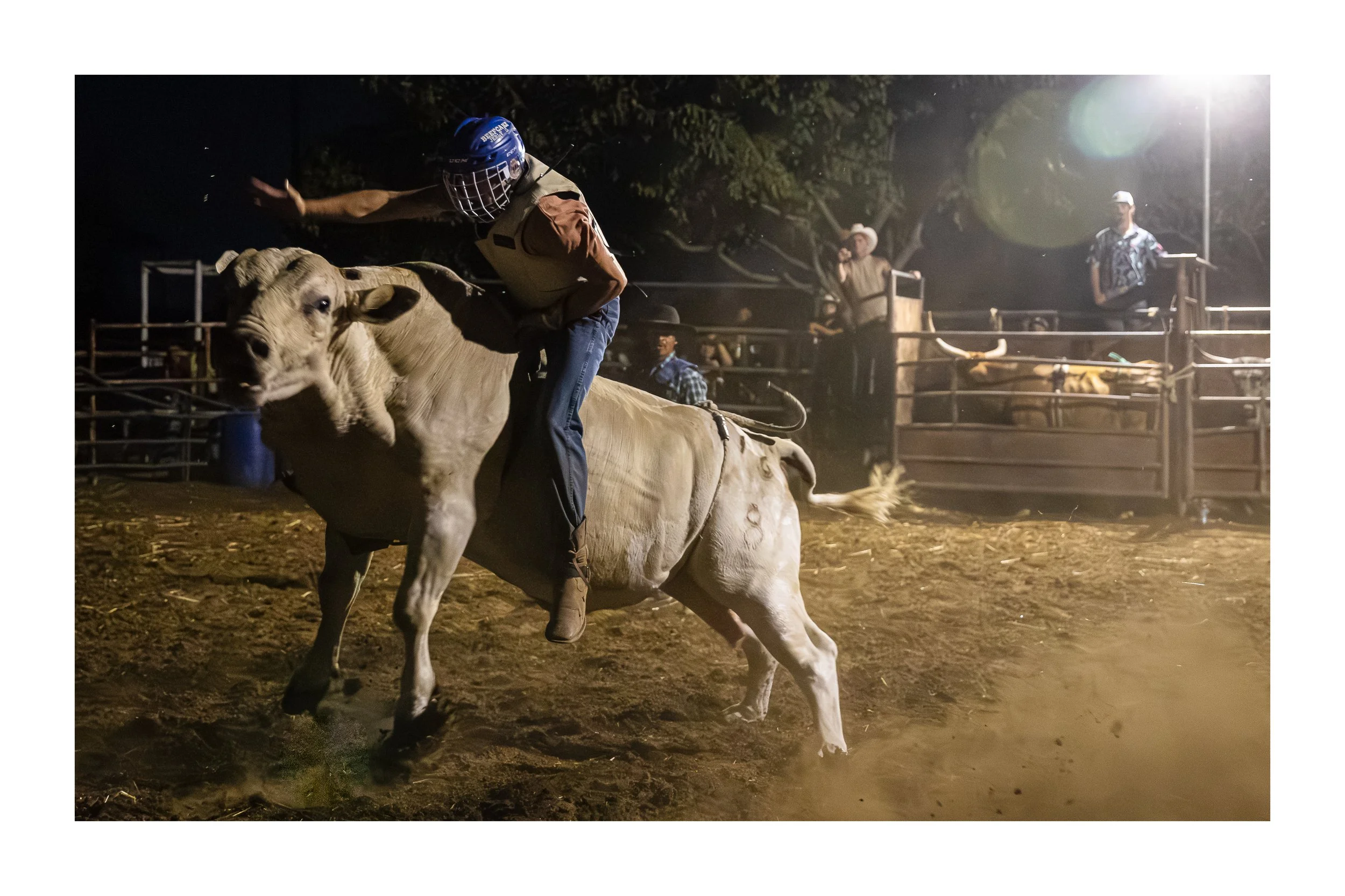 7090 12x18 trypt1.jpg