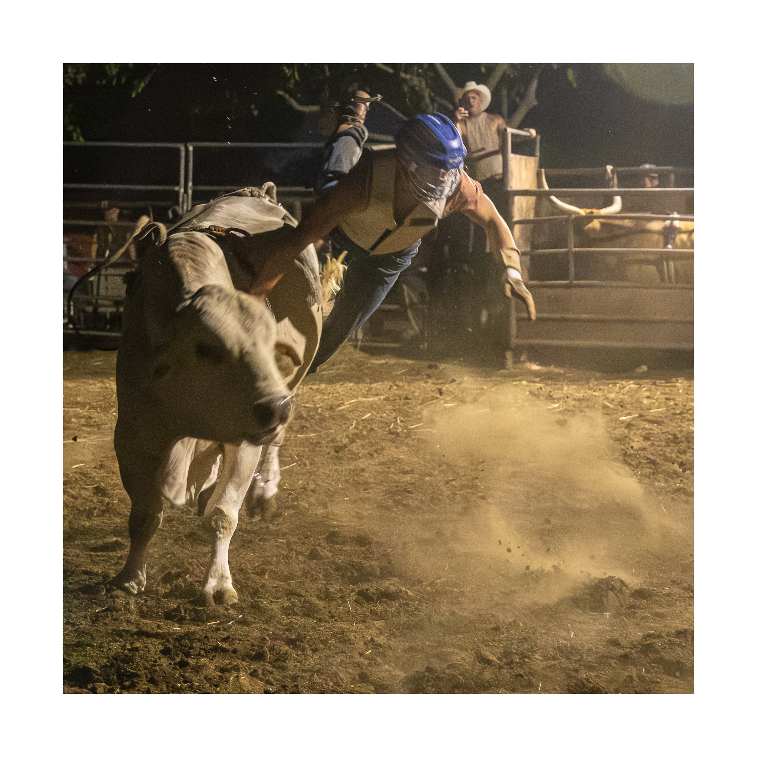 7096 12x12 trypt2.jpg