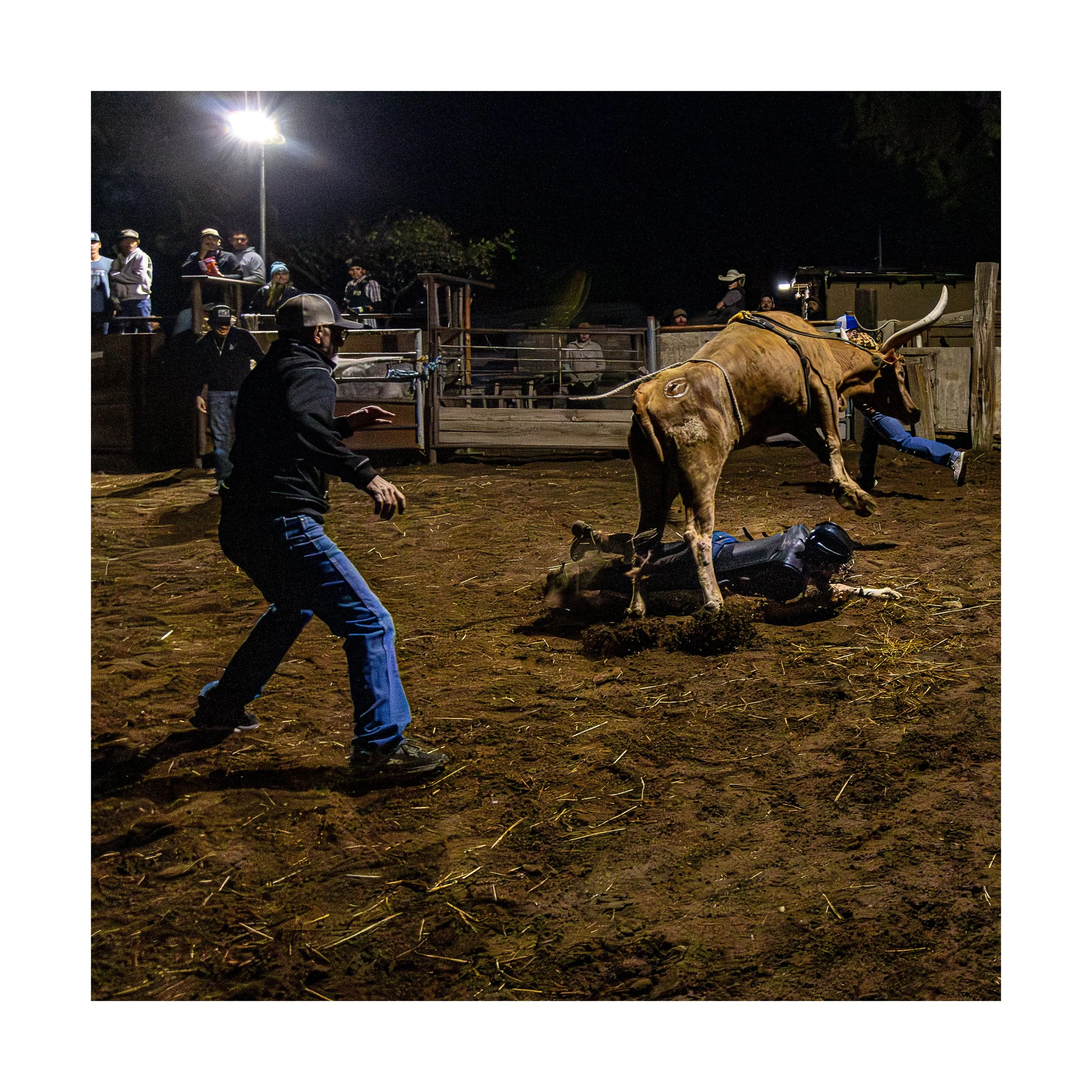 7773 12x12 tryptC.jpg