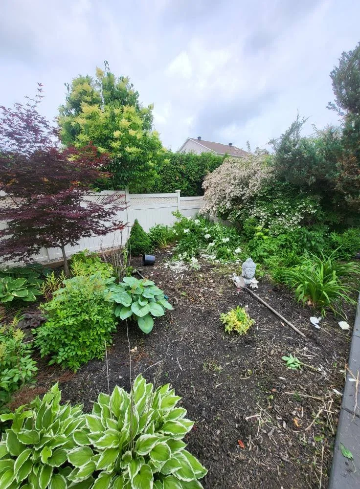 A backyard garden with a variety of lush green plants, shrubs, and flowering bushes, surrounded by a white fence, and a small stone bird statue in the dirt area in the center.