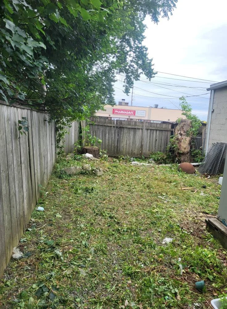 Backyard with trees, overgrown grass, and scattered trash, enclosed by a wooden fence with a neighboring building in the background.