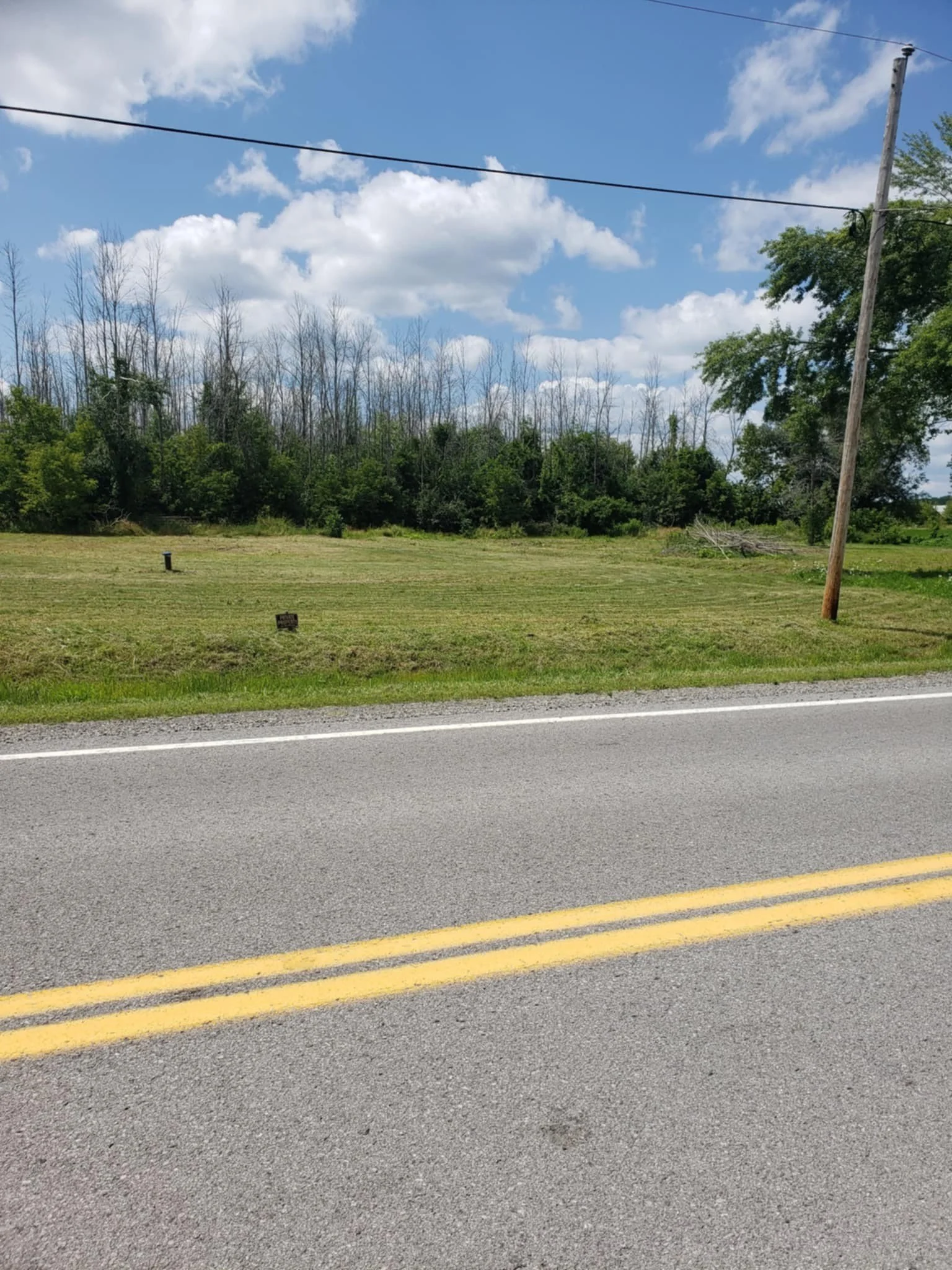 A two-lane road with yellow lines, a grassy area with small signs, a wooded area with trees in the background, and a blue sky with clouds.