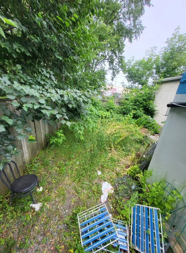 Backyard with overgrown grass, a black chair, discarded blue and white metal furniture, and a white plastic bag, surrounded by a wooden fence and trees with green leaves.