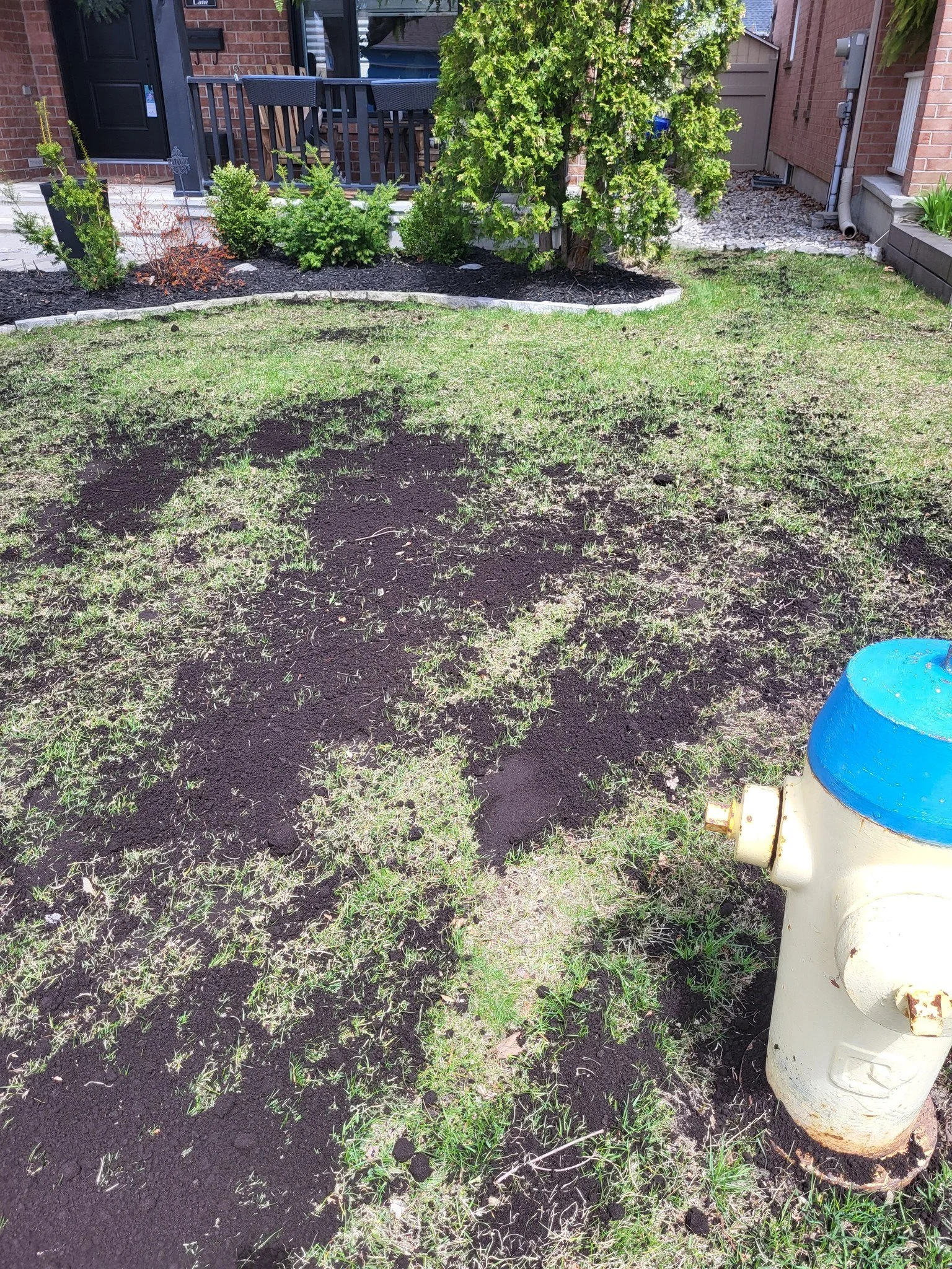 A backyard with a freshly dug patch of soil, a side of grass, a yellow and blue fire hydrant, and a background featuring a wooden deck with outdoor furniture, bushes, a tree, and a brick house.