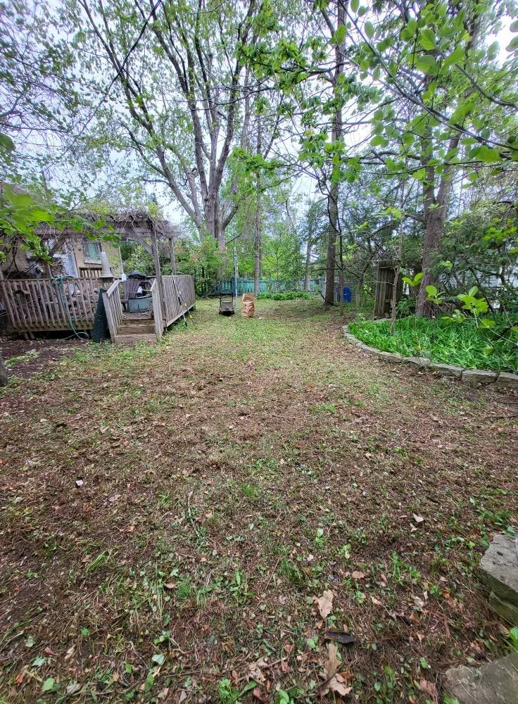 A backyard with a grassy lawn, surrounded by trees and a wooden deck on the left side. There are some lawn chairs, potted plants, and a small garden bed on the right side with flowers. The sky is overcast, and the yard appears to be in a suburban are