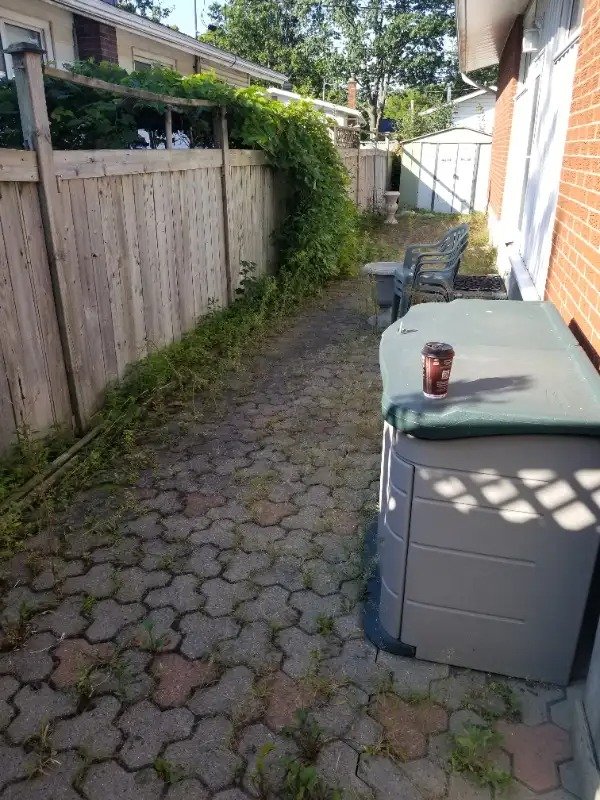 Backyard alley with a brick wall on the right, a wood fence on the left, a row of chairs, a covered trash bin with a paper coffee cup on top, and plants growing along the fence under a sunny sky.