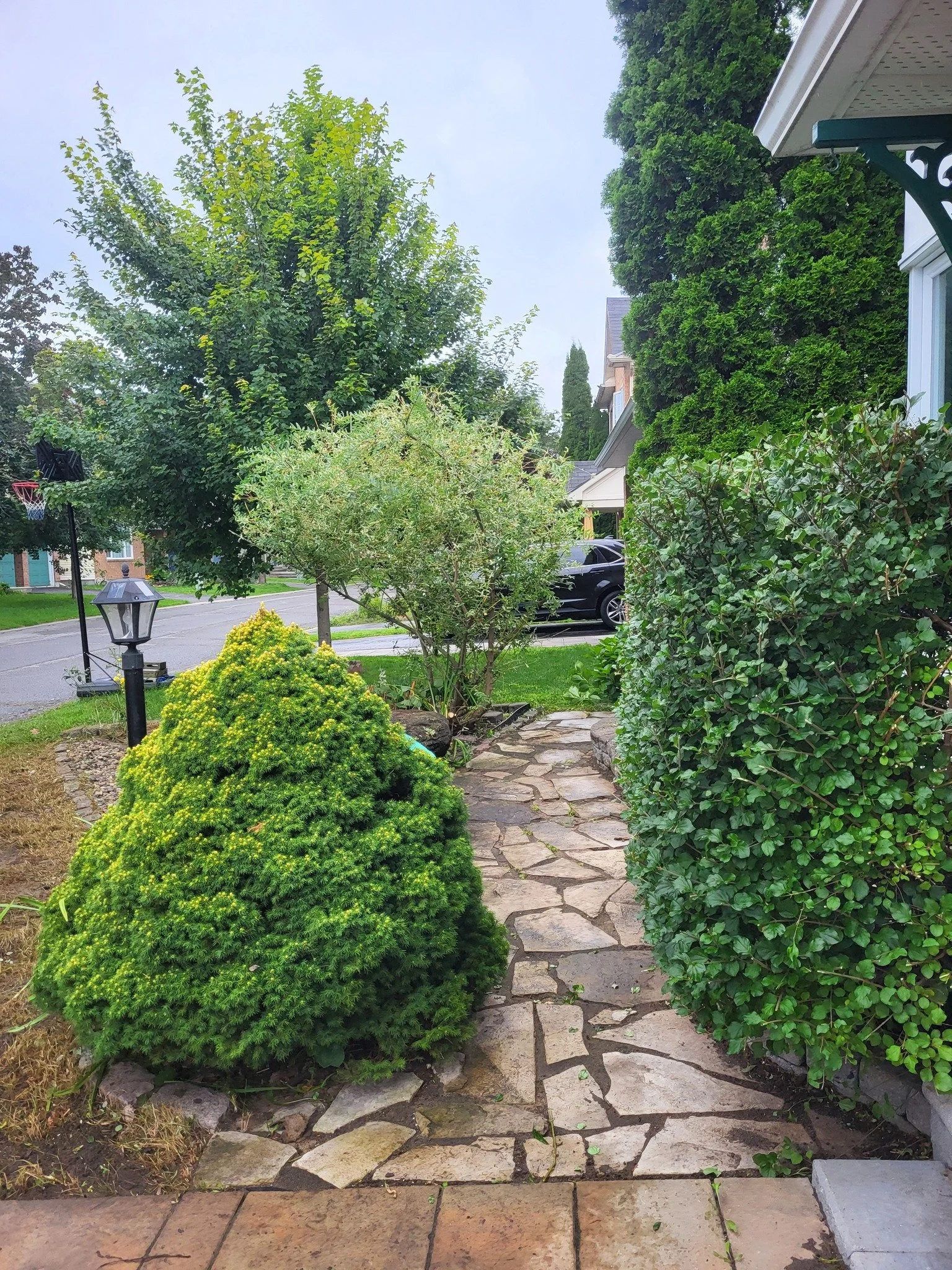 A stone pathway leading from the front porch of a house, surrounded by green bushes and trees in a neighborhood on an overcast day.