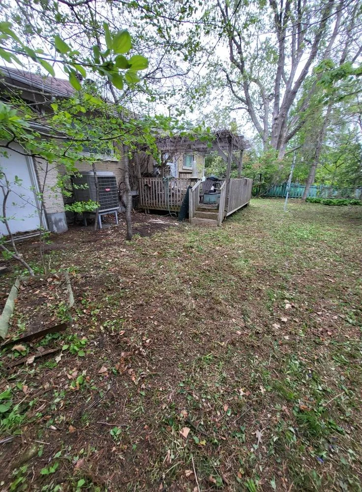Backyard with a wooden deck, trees, and a grassy area.