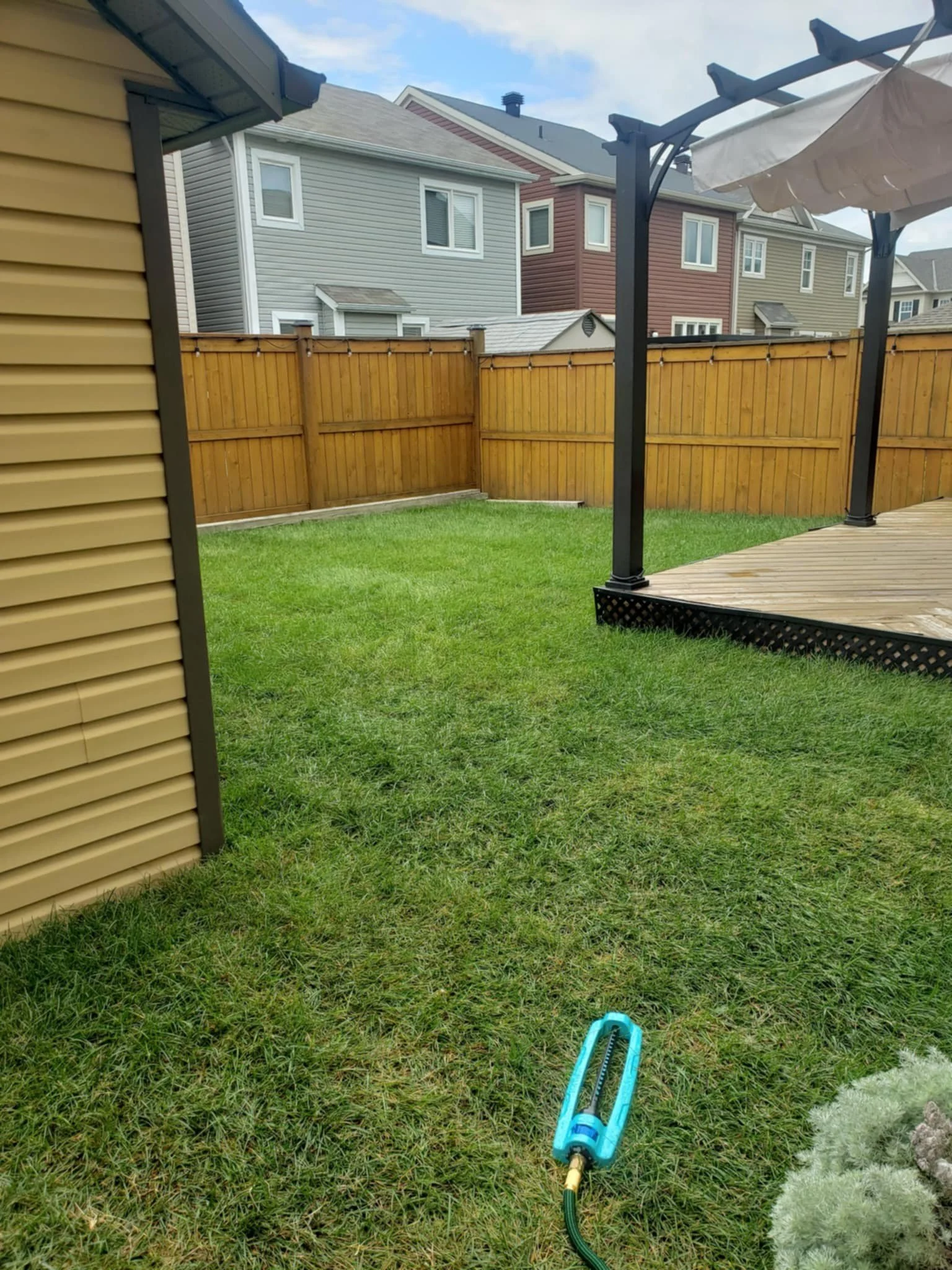 Backyard with green grass, a wooden deck with a pergola, and a brown wooden fence. A garden hose with a spray attachment lies on the grass.